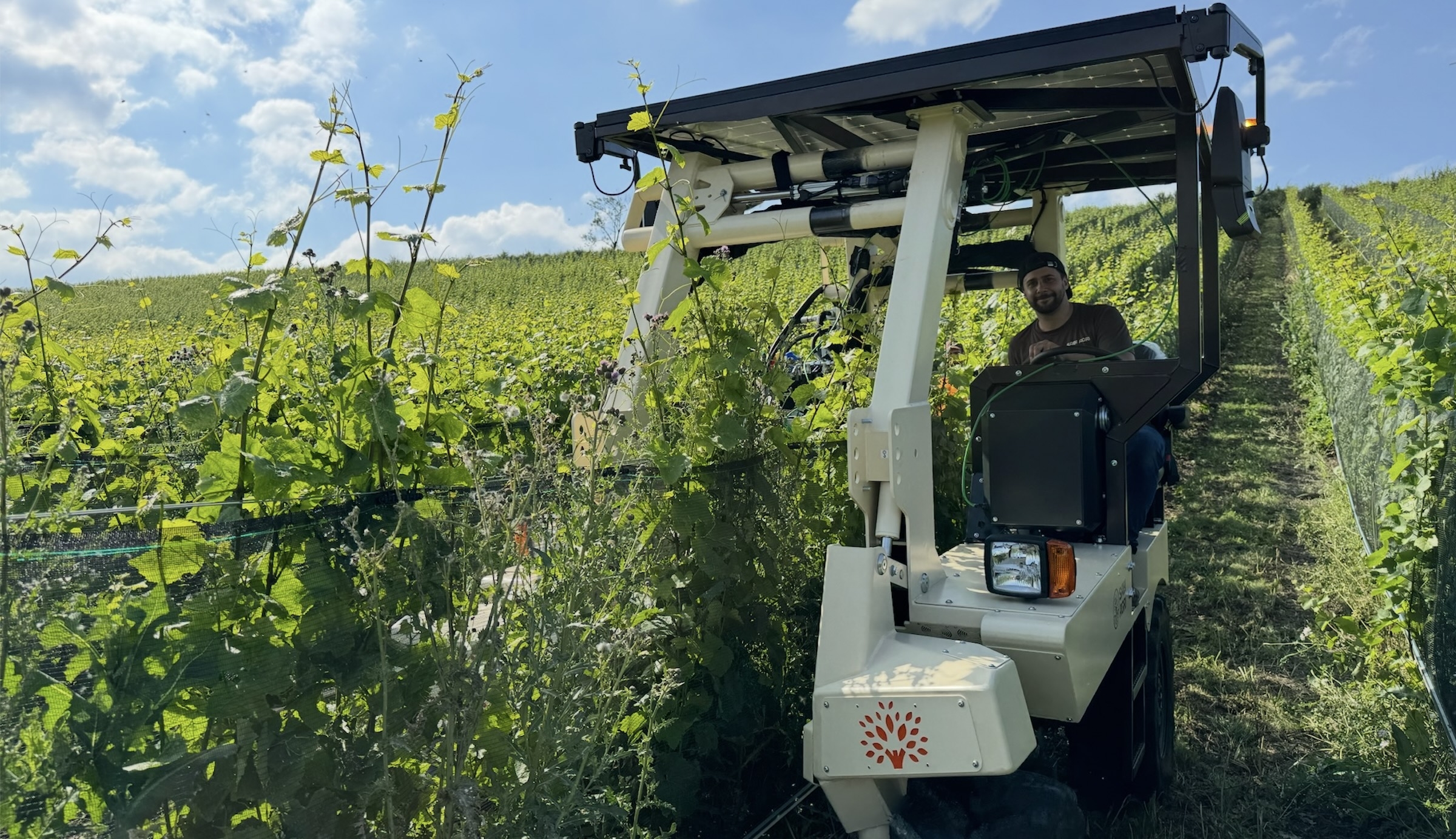 L’Alpo est capable d’enjamber des vignes jusqu’à 2,05 m, des plus étroites aux plus larges grâce à son châssis à écartement variable par pas de 20 cm