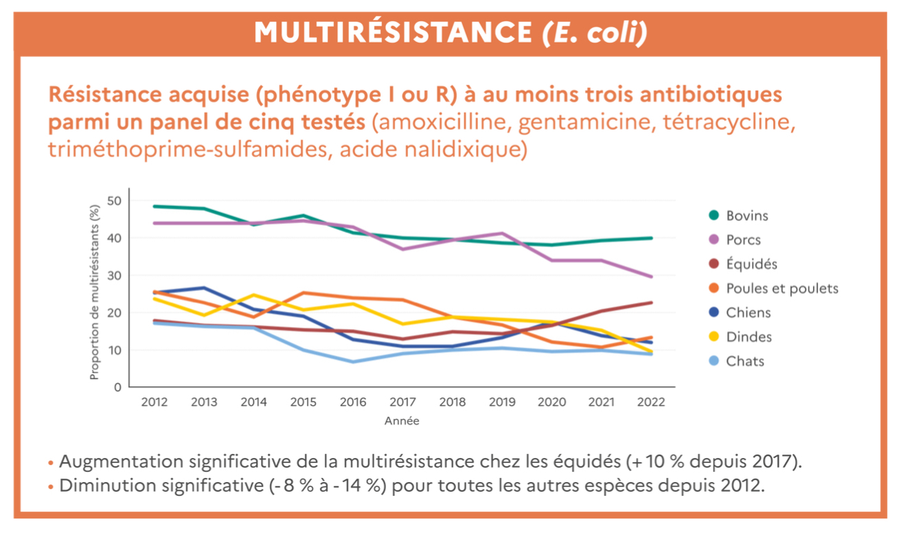 Evolution des taux de bactéries résistantes entre 2012 et 2022 (Source : Anses)