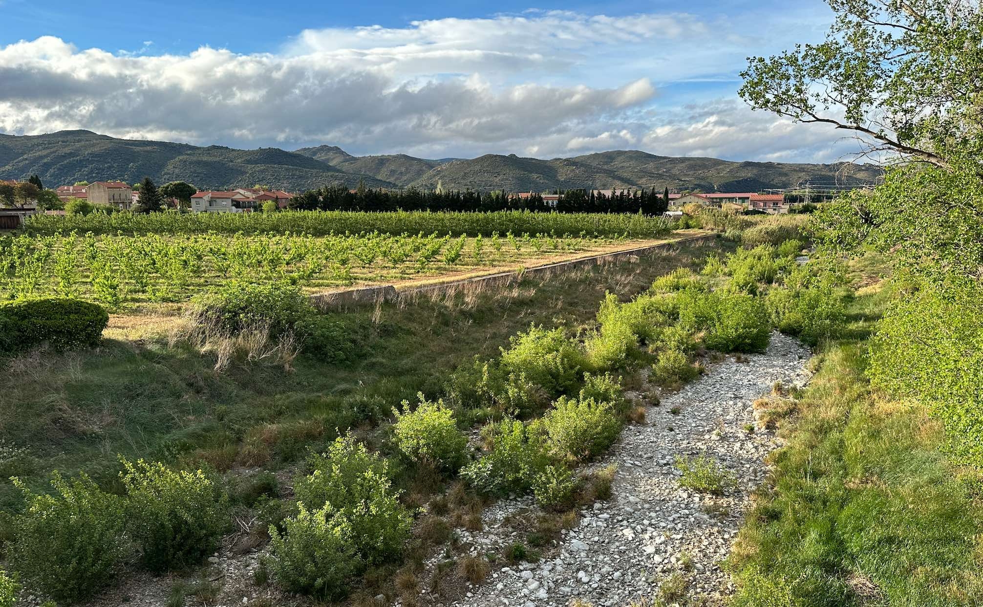 Le lit du Boulès à Bouleternère (Pyrénées-Orientales)