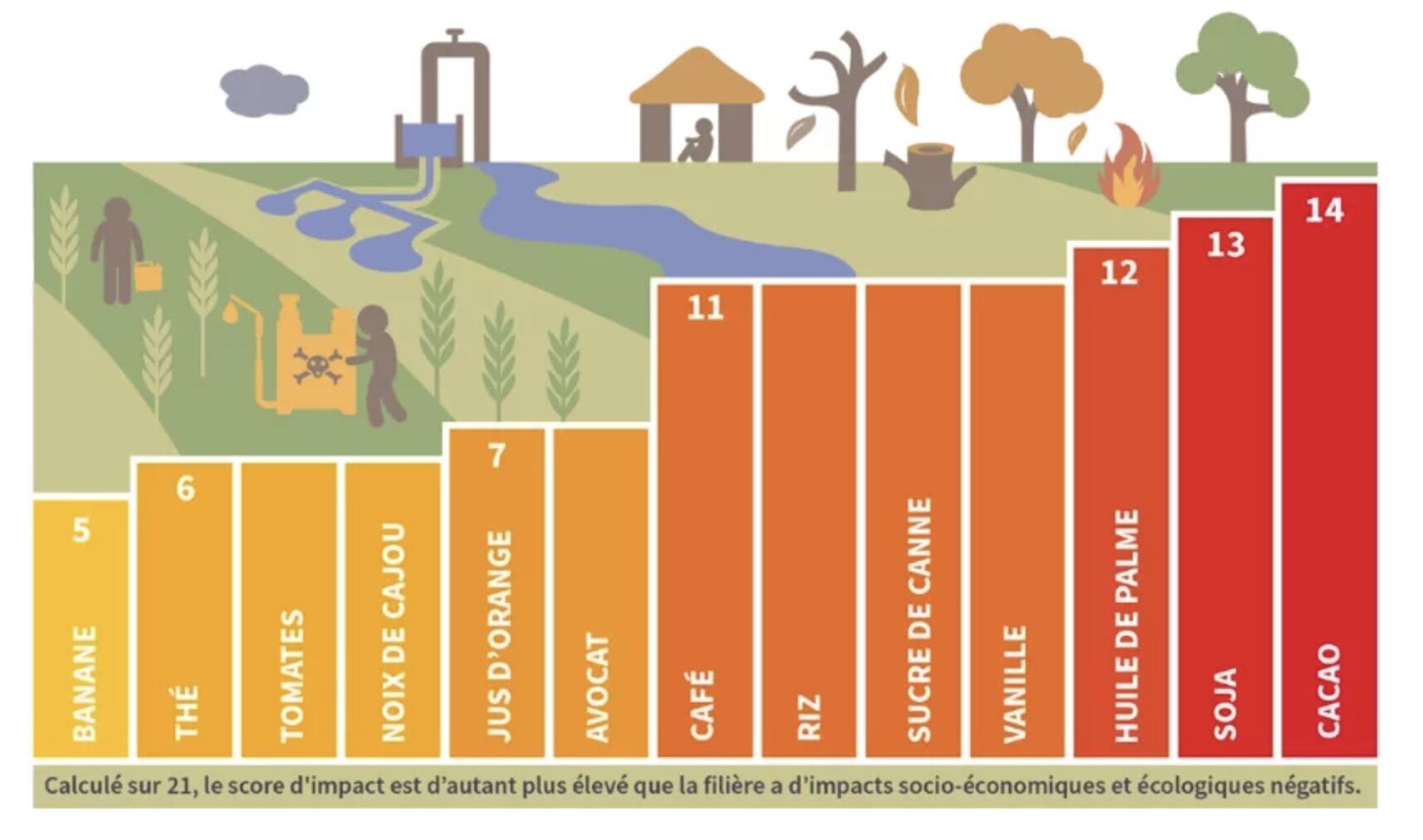 Score, sur une échelle de 0 à 21, de 13 produits importés passés au crible d’une « boussole de durabilité » agrégeant indicateurs socioéconomiques et écologiques (Source : Basic)