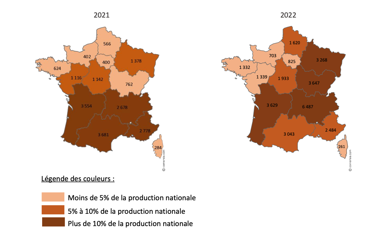 Répartition de la production par région en 2021 et 2022, en tonnes (Source : InterApi / ADA France)