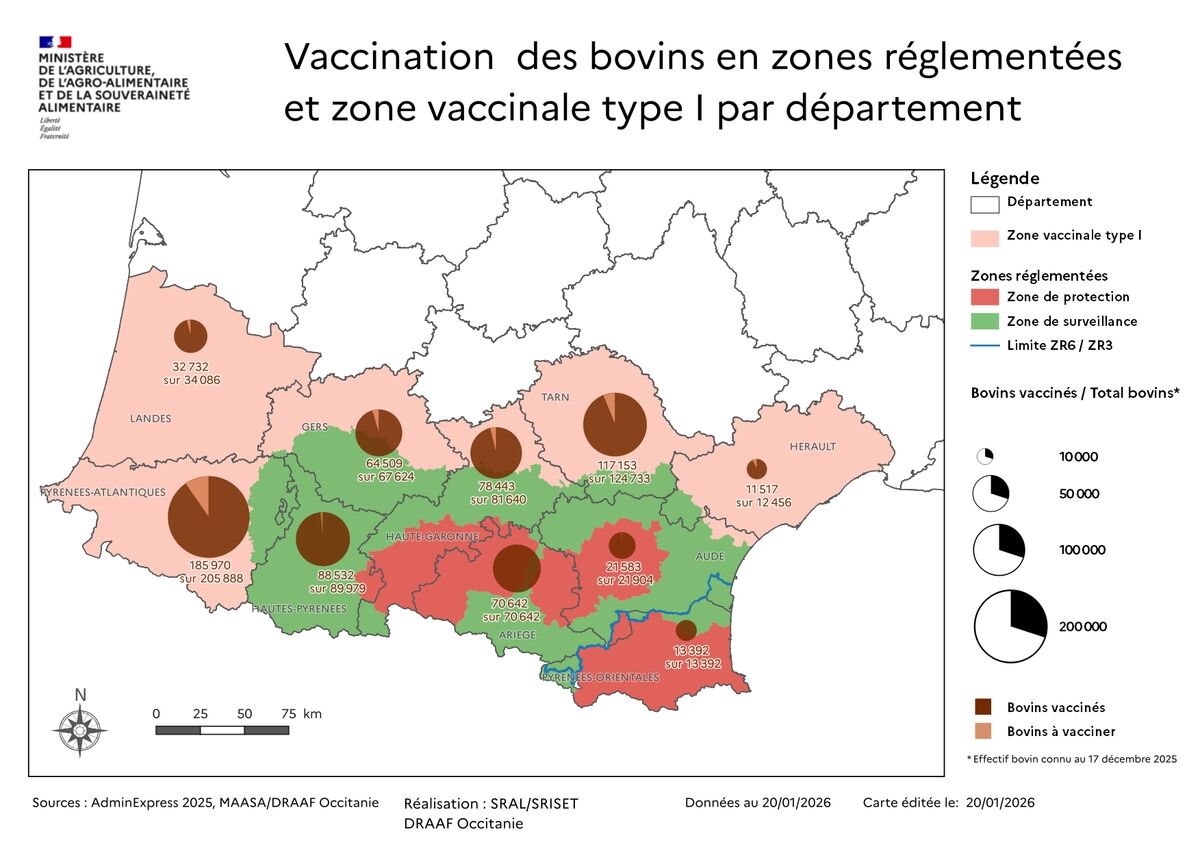 Contexte épidémiologique et situation vaccinale en Occitanie et Nouvelle-Aquitaine en date du 20 janvier (Source : ministère de l’Agriculture)