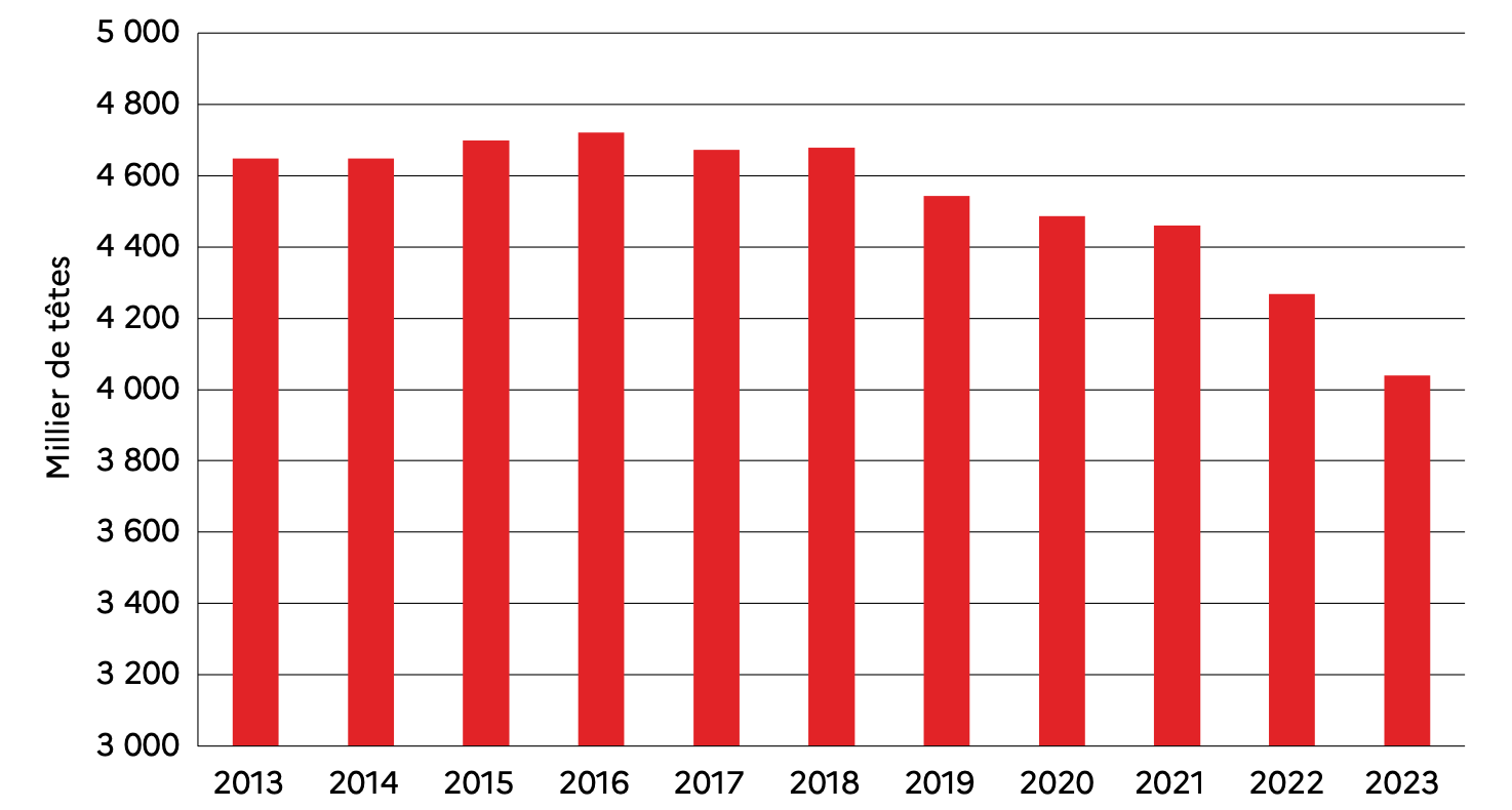 Evolution du nombre de bovins finis produits depuis 2013 (Source : Agreste)