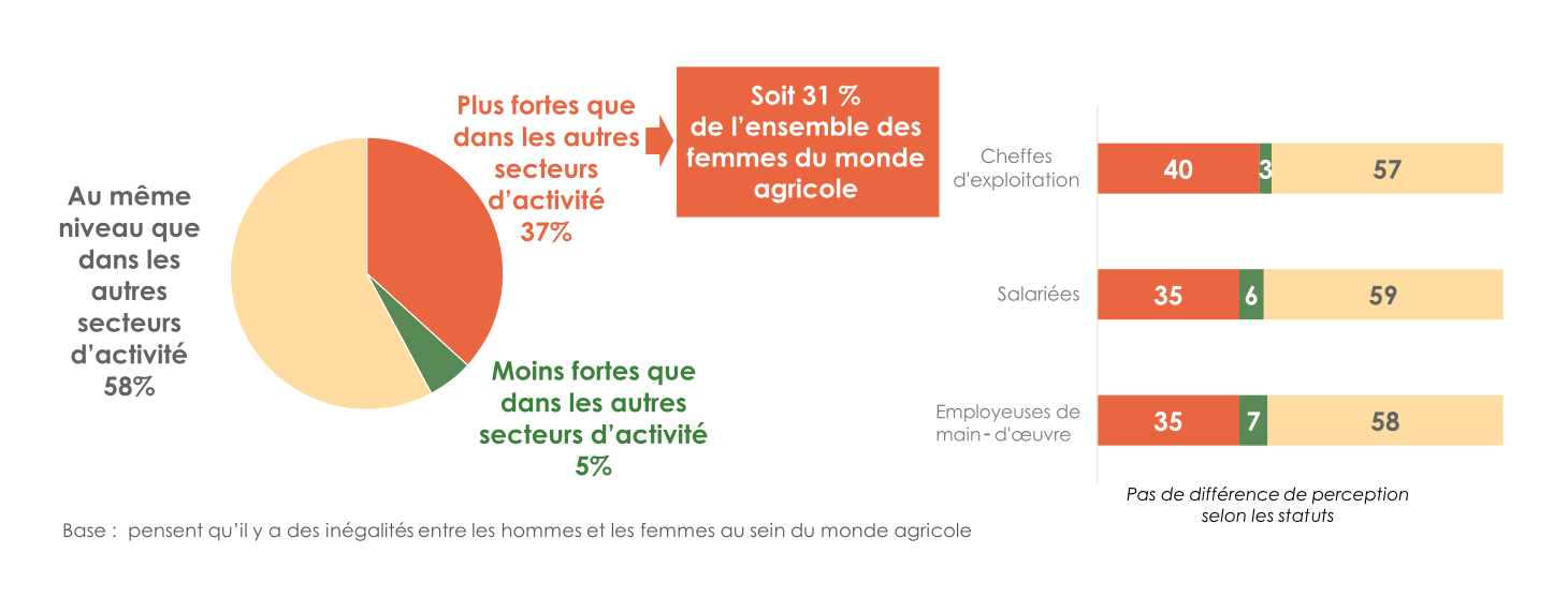 31% des femmes du monde agricole estiment que les inégalités hommes-femmes sont plus fortes en agriculture que dans les autres secteurs (Source : Verian - MSA)