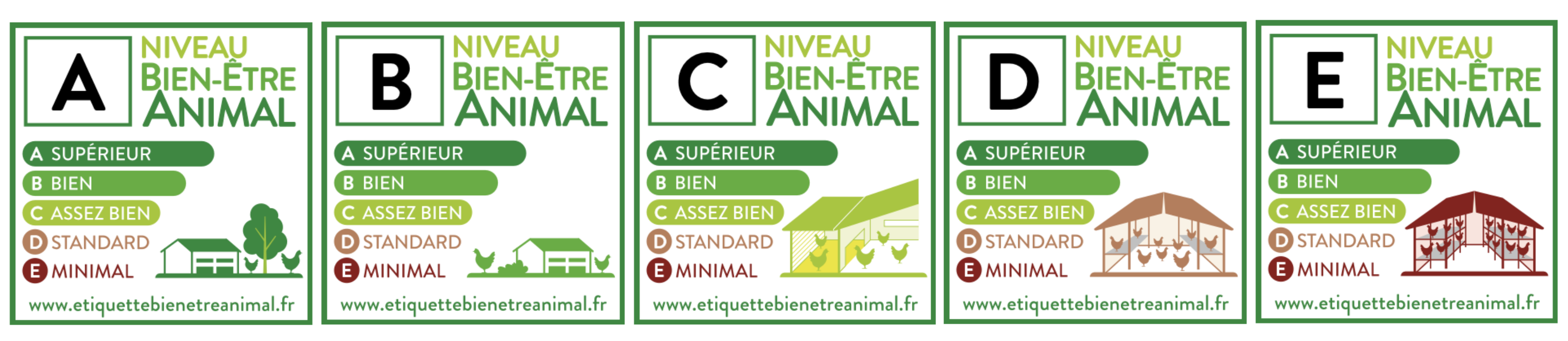 Les élevages avec accès au plein air pourront prétendre aux notes A et B. Les systèmes au sol avec véranda, reconnus comme améliorant significativement le bien-être des pondeuses, pourront obtenir la note C (Source : Association Étiquette Bien-Être Animal)