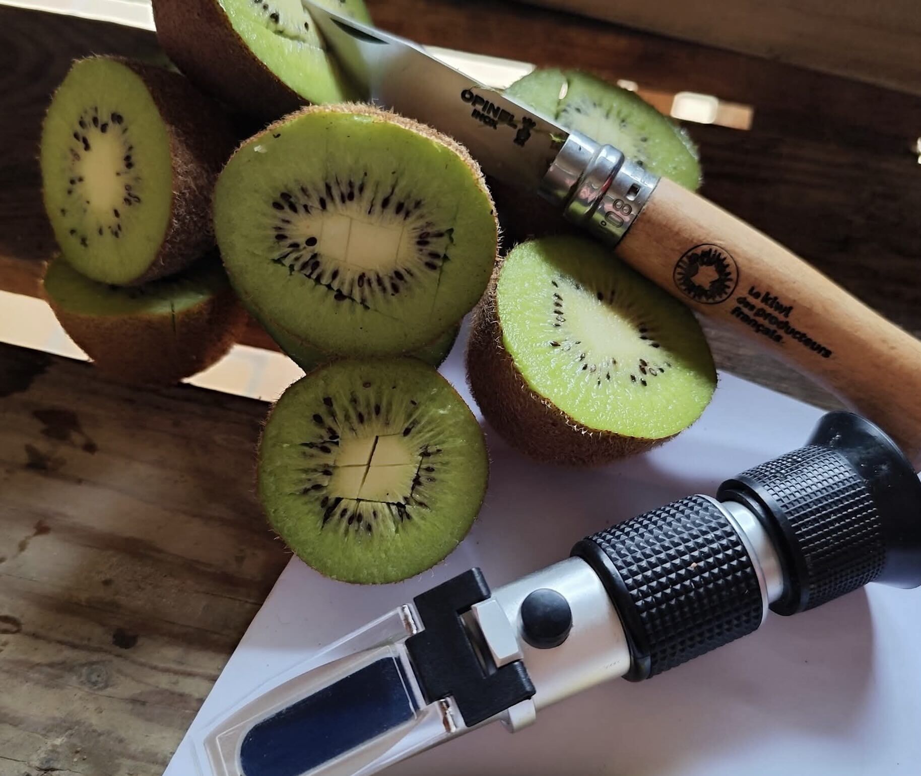 Avant la récolte, le taux de sucre des fruits (Brix) est vérifié avec un réfractomètre (Crédit photo : Coralie Duberos)