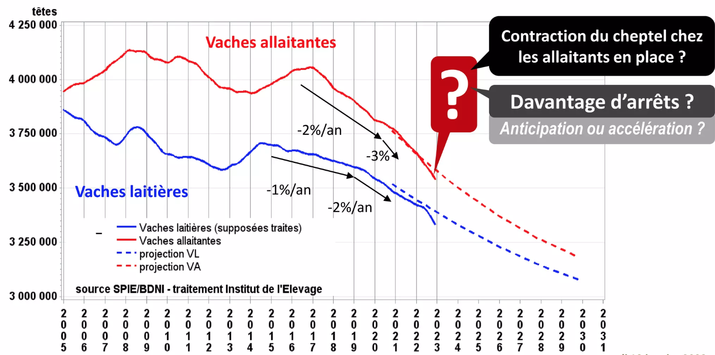 Accélération de la décapitalisation en 2022 et projections à 2030 (Source : Institut de l’élevage)