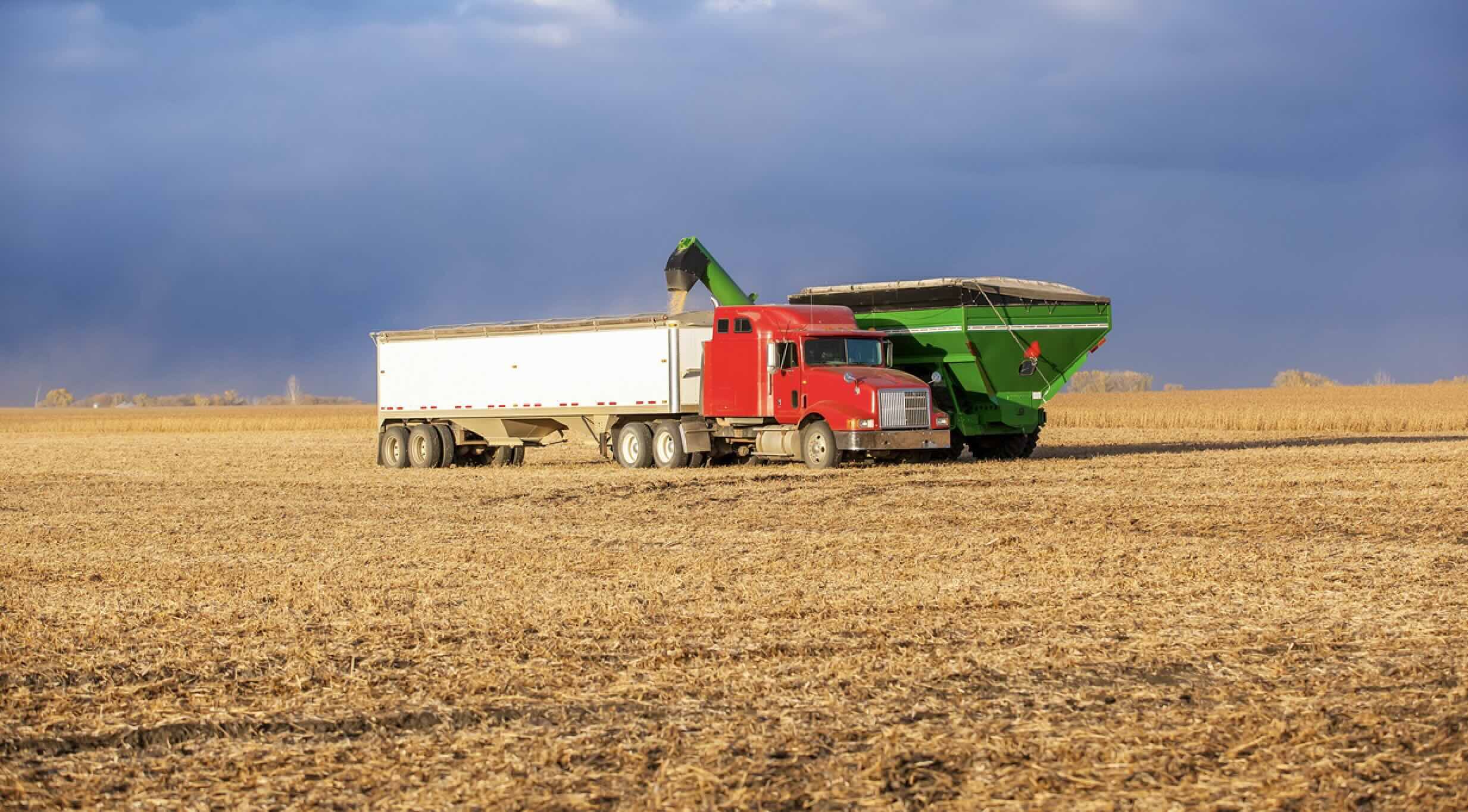 En imposant une taxe additionnelle de 34% à la Chine, les Etats-Unis hypothèquent un débouché majeur de leur soja, qui a généré 52% des 24,2 Md$ de produits agricoles exportés vers ce pays en 2024