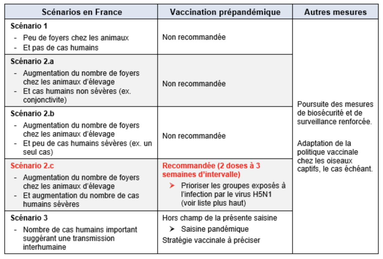 Les scénarios d’une vaccination prépandémique contre la grippe aviaire H5N1 (Source : Haute autorité de santé)