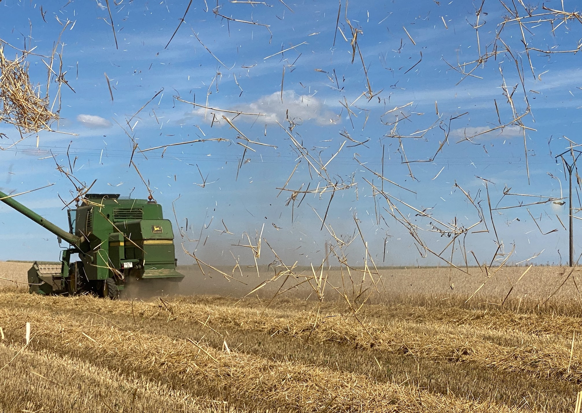 Cereal France, a colossus of straw, according to a report by the Senate Economic Affairs Commission (Photo credit: R. Lecocq)