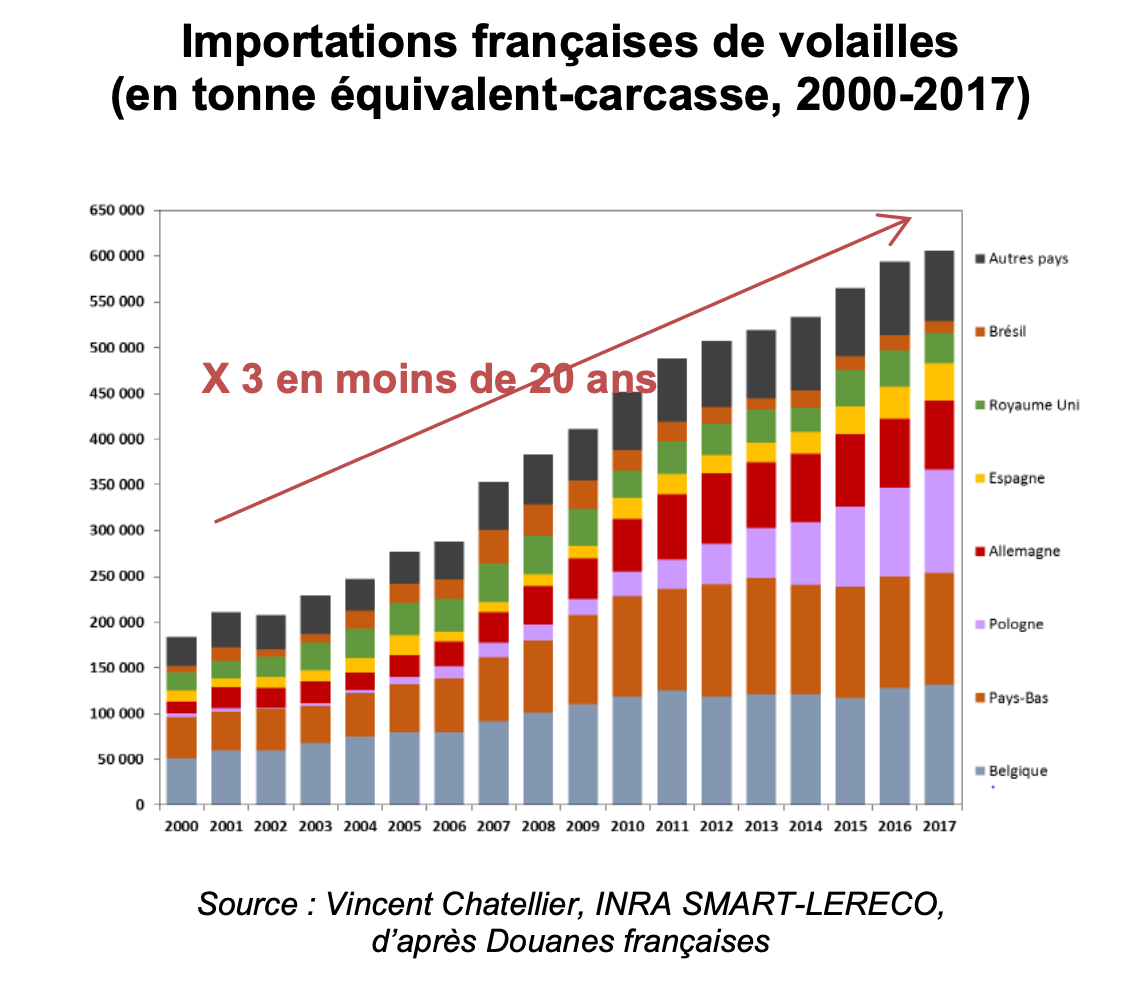 Les importations de volaille représentent 34 % de la consommation intérieure en 2017 contre 13 % en 2000