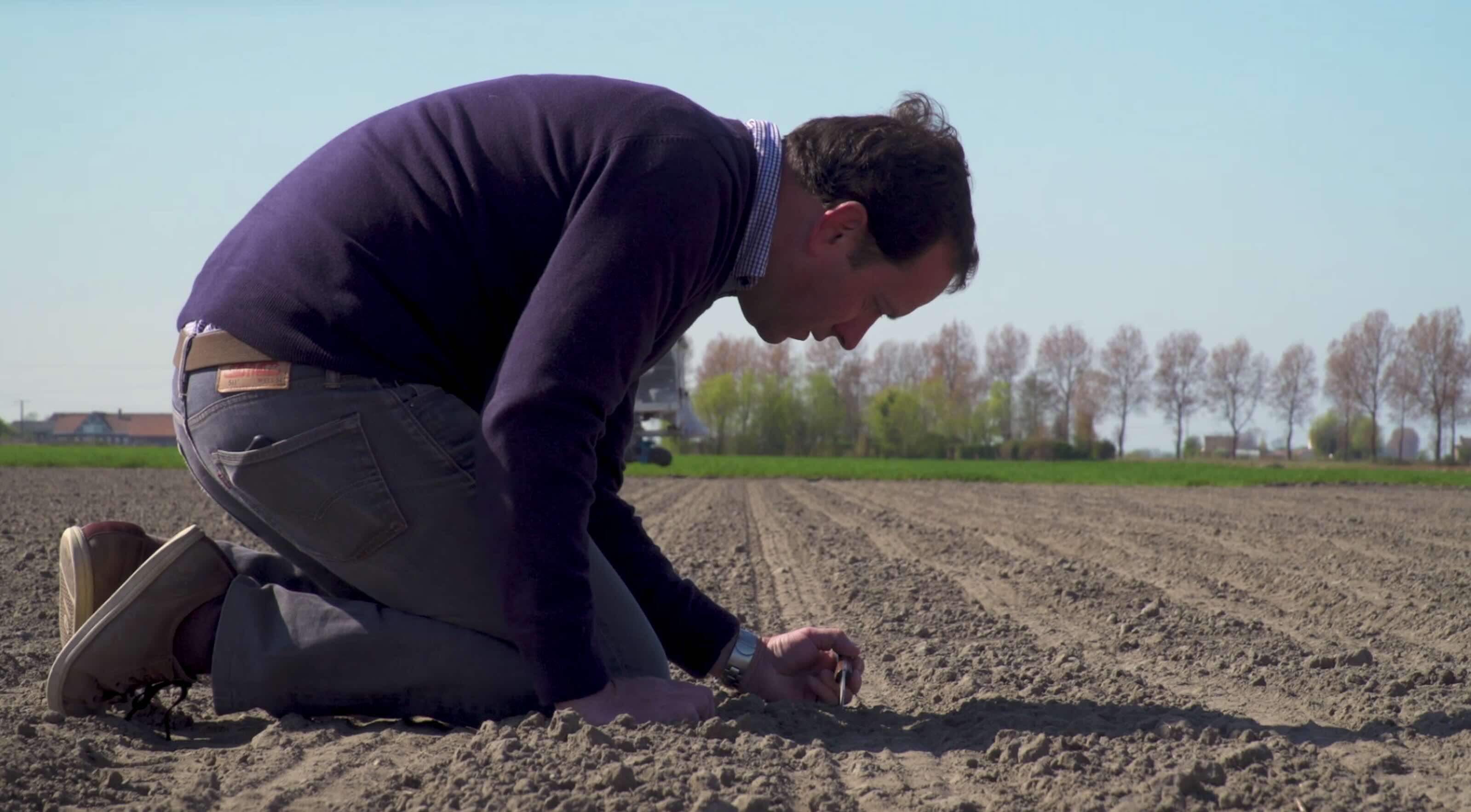 Enseignant à l’ISA de Lille, responsable du service agronomique de l’interprofession de la Chicorée de France, Yannick Delourme est au chevet de la chicorée depuis plus de 25 ans (Crédit photo : YD)