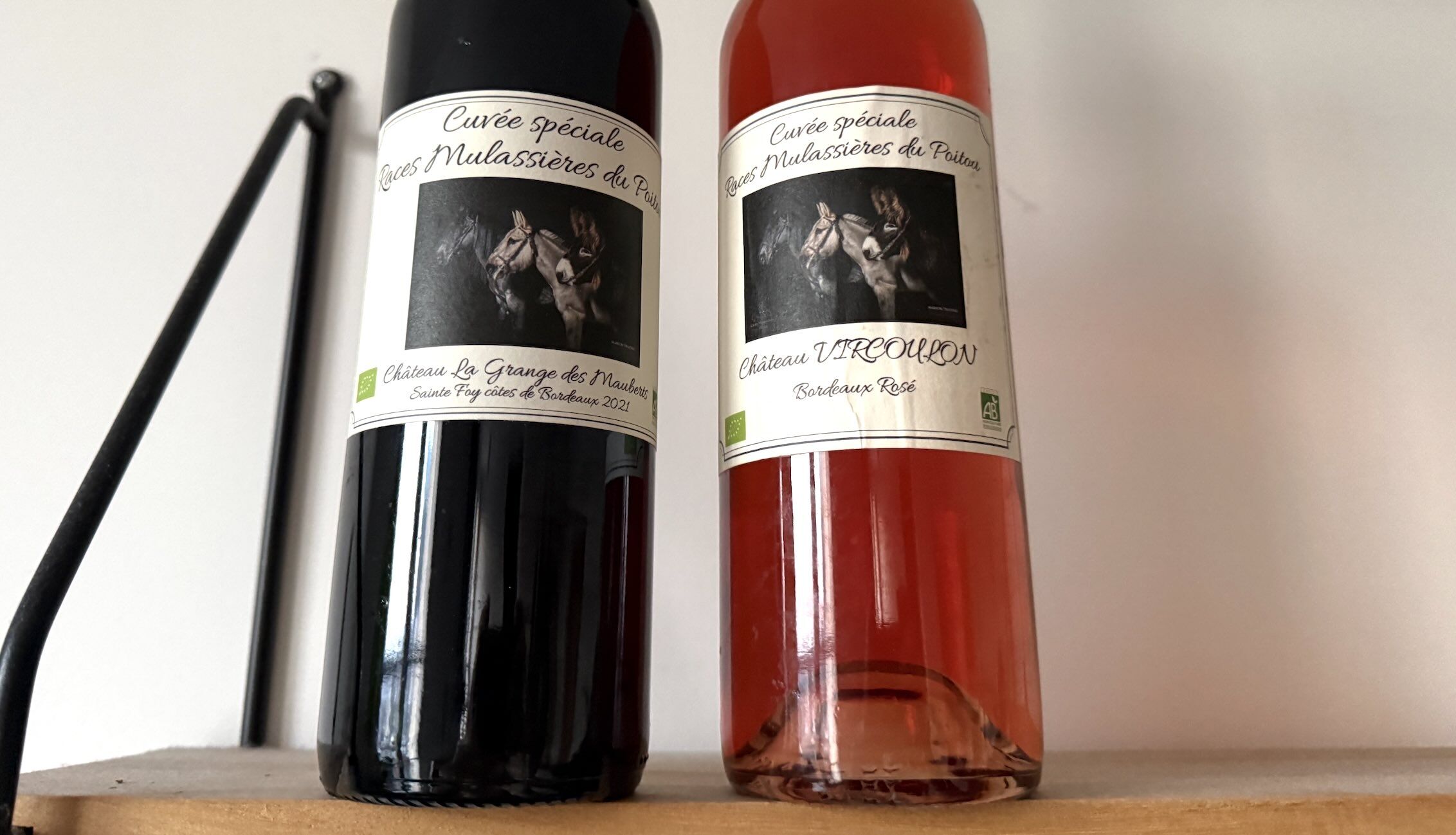 En Gironde, la Ferme des Mauberts recourt aux races mulassières du Poitou pour entretenir son vignoble