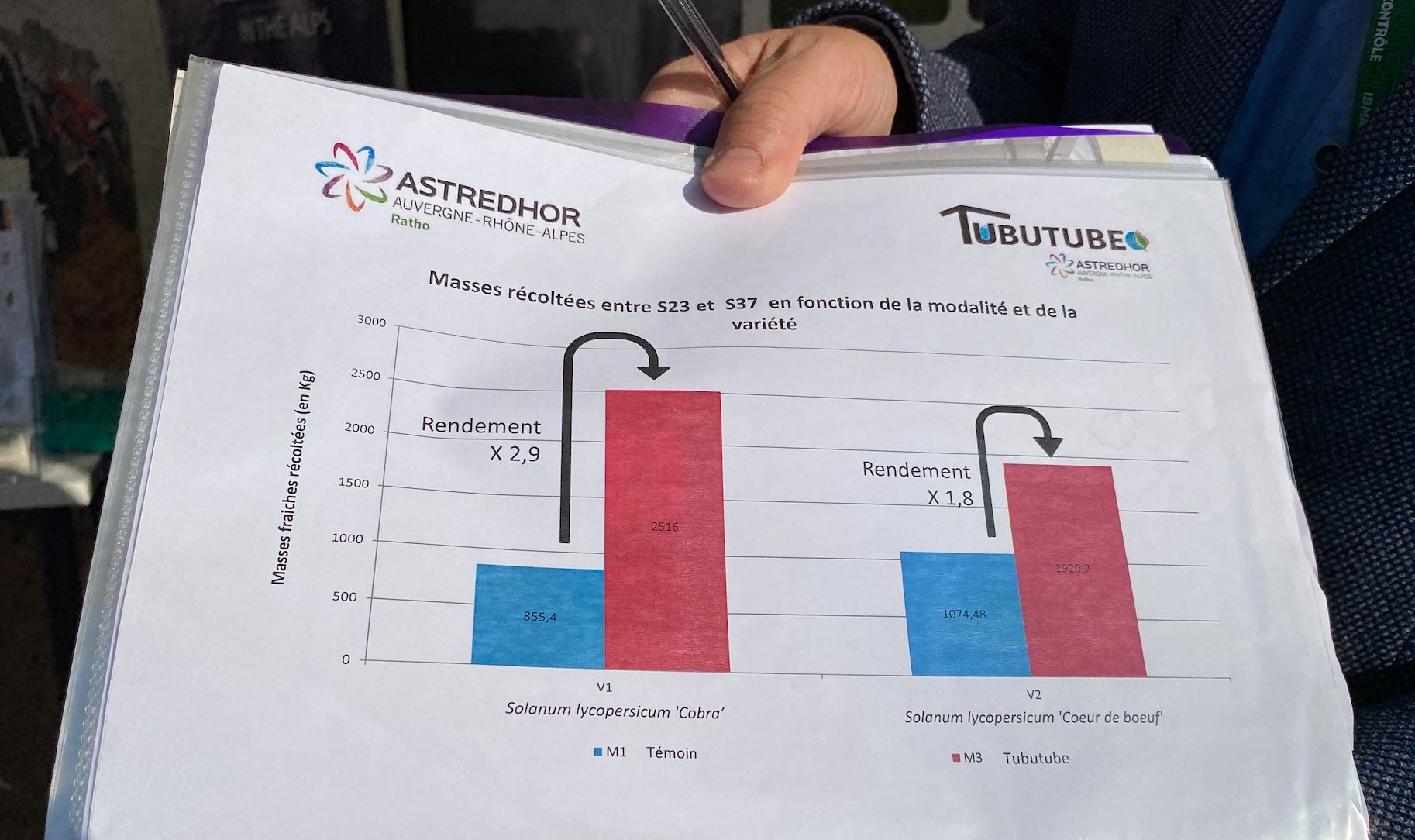 Les résultats enregistrés sur tomate chez un maraicher de la Loire en 2021