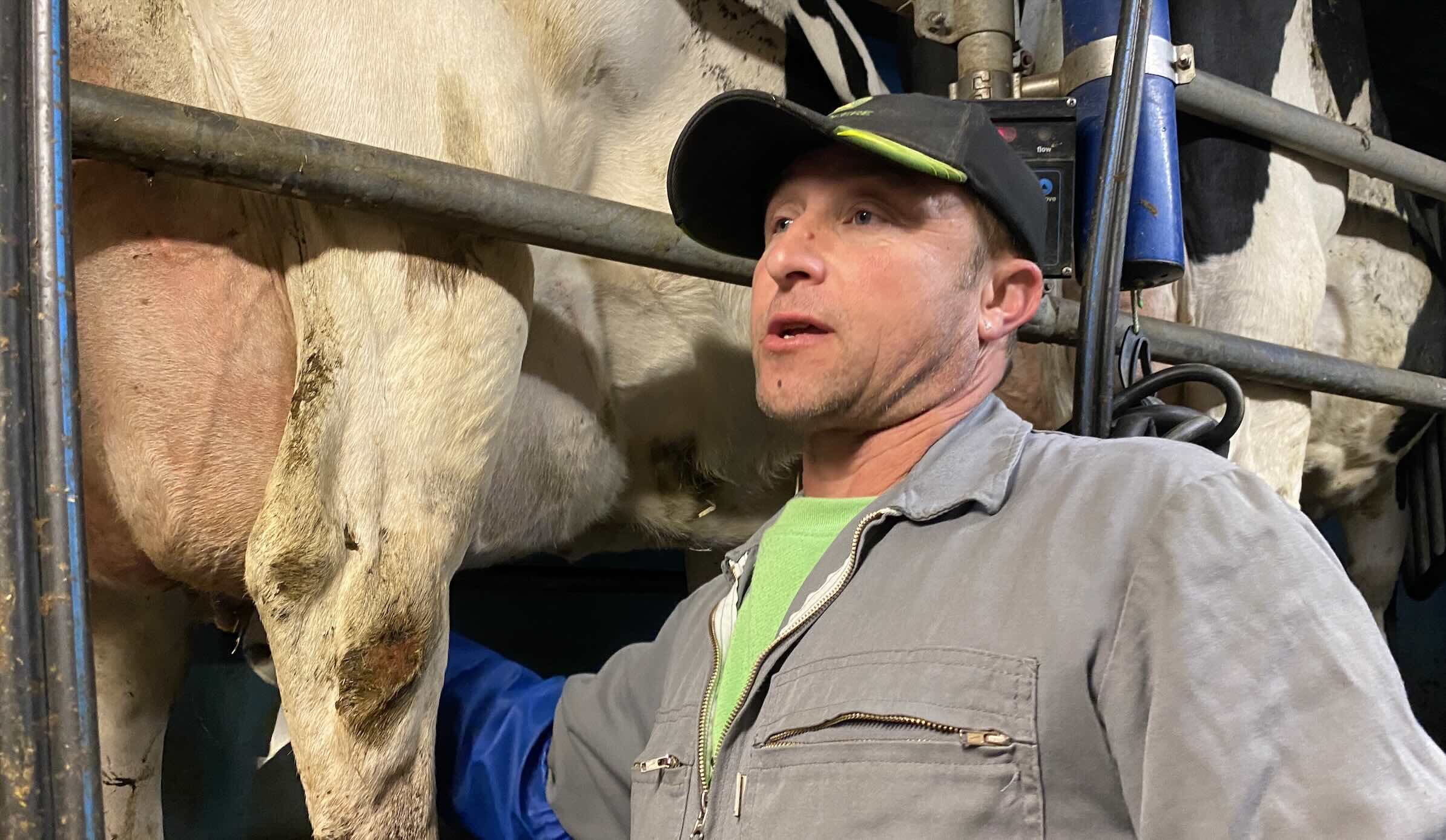 Sur les 9 premiers mois de l’année, le prix du lait a progressé en moyenne de 7,0% (Crédit photo : R. Lecocq)