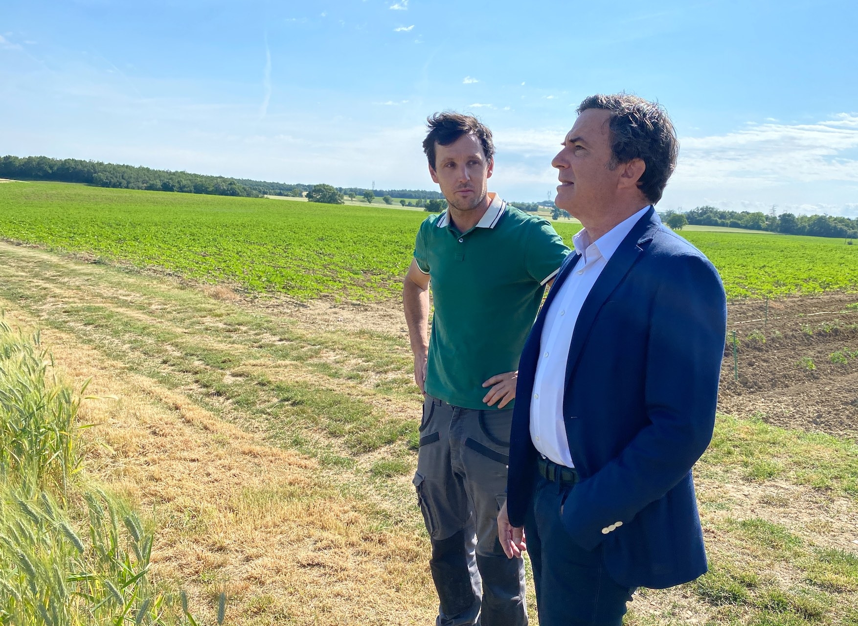 L’agriculteur Vincent Jonquières et l’industriel Albert Mathieu, l’œil rivé sur le blé dur, tournant le dos au tournesol