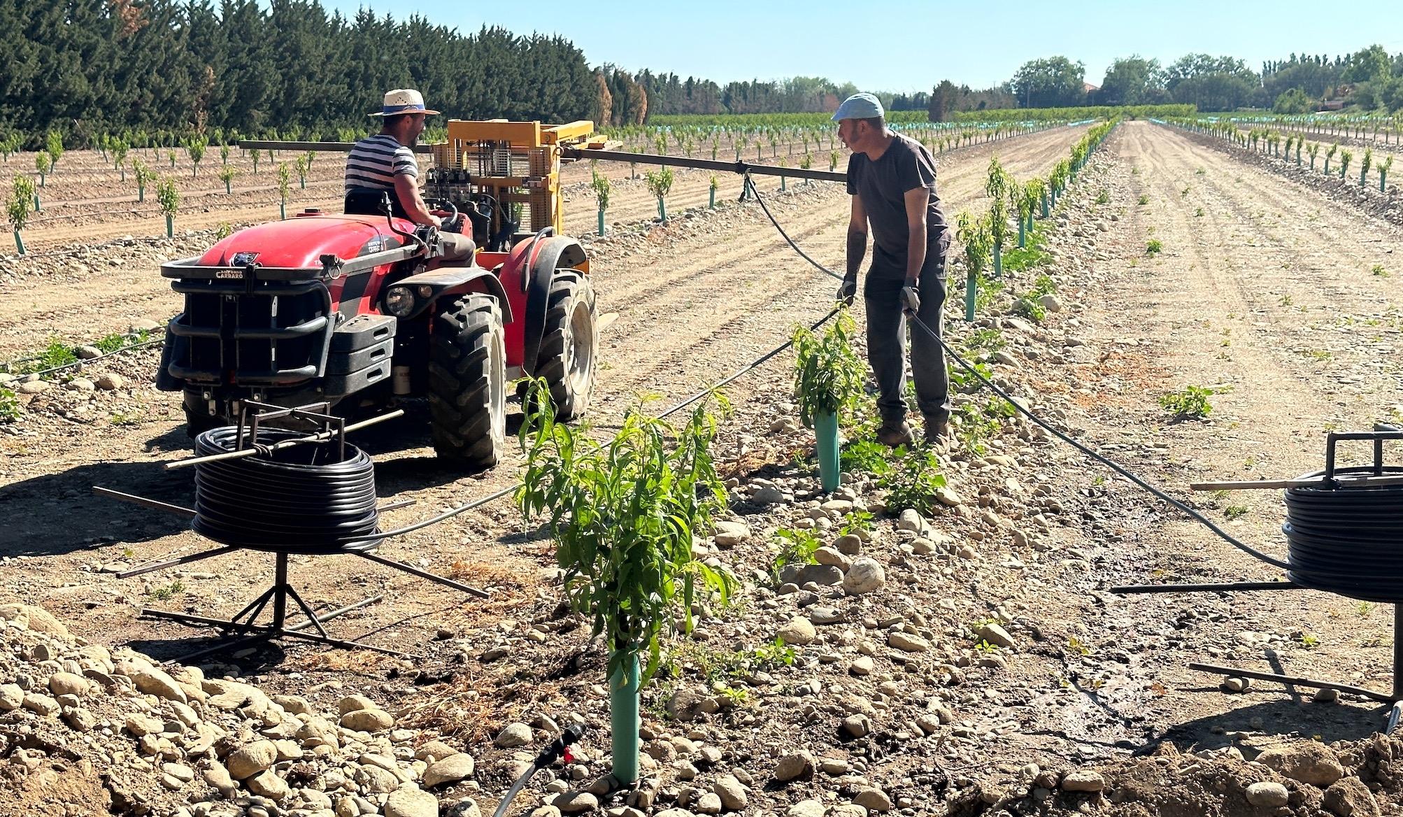L’aide est limitée à 40 hectares par exploitation et à 30 hectares par espèce (Crédit photo : R. Lecocq)