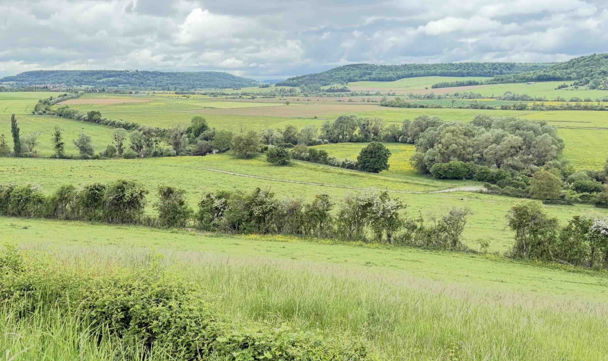 Bruxelles crédite sa proposition d’une économie de 1,58 milliard par an au bénéfice des agriculteurs et de 210 millions d’euros au bénéfice des administrations nationales (Crédit photo : R. Lecocq)