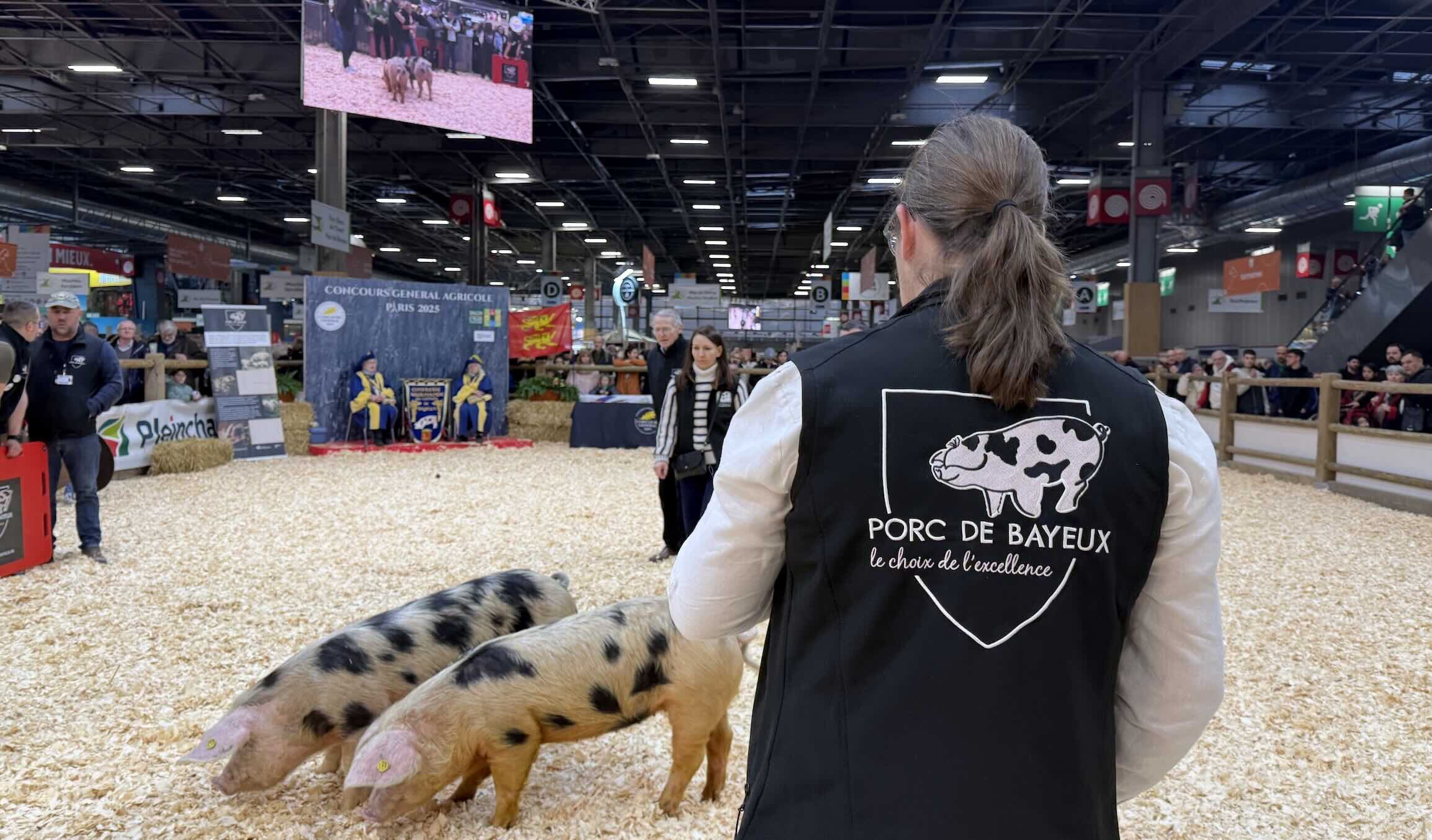 Nicole Levieux et Marie-Chantal Eudine aux premières loges du concours du Cochon de Bayeux