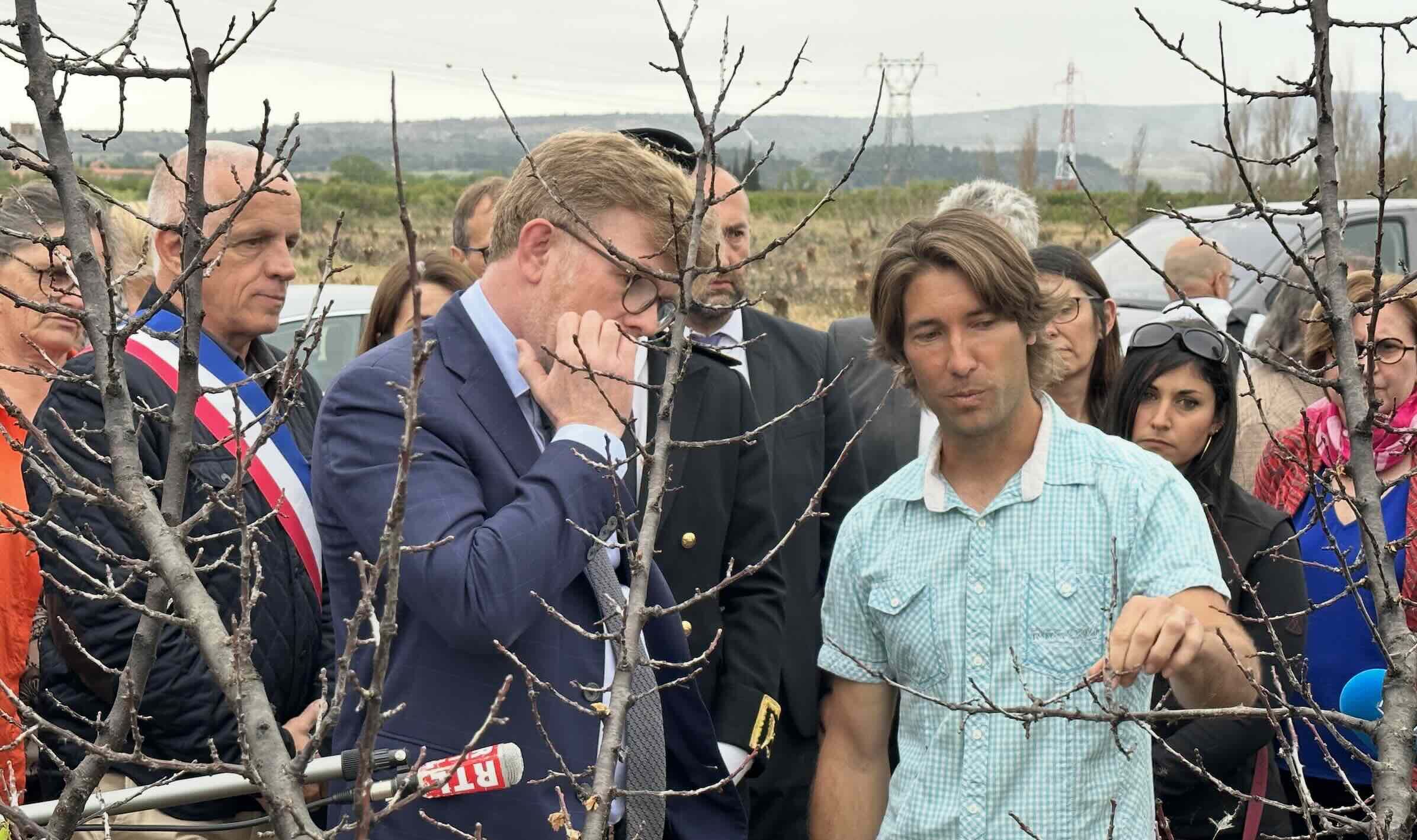 L’ex-ministre de l’Agriculture Marc Fesneau au pied d’un abricotier mort à Espira-de-l’Agly le 6 mai 2023