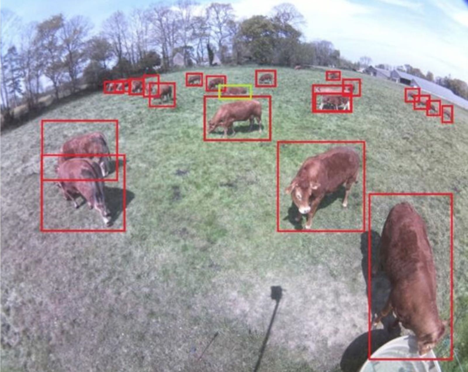 Surveillance des animaux à distance Peek’Ture (Crédit photo : Copeeks)