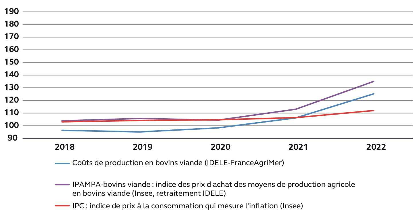 Evolution d’un ensemble d’indices dans la filière bovins viande (base 100 en 2015) (Source : Cour des comptes)