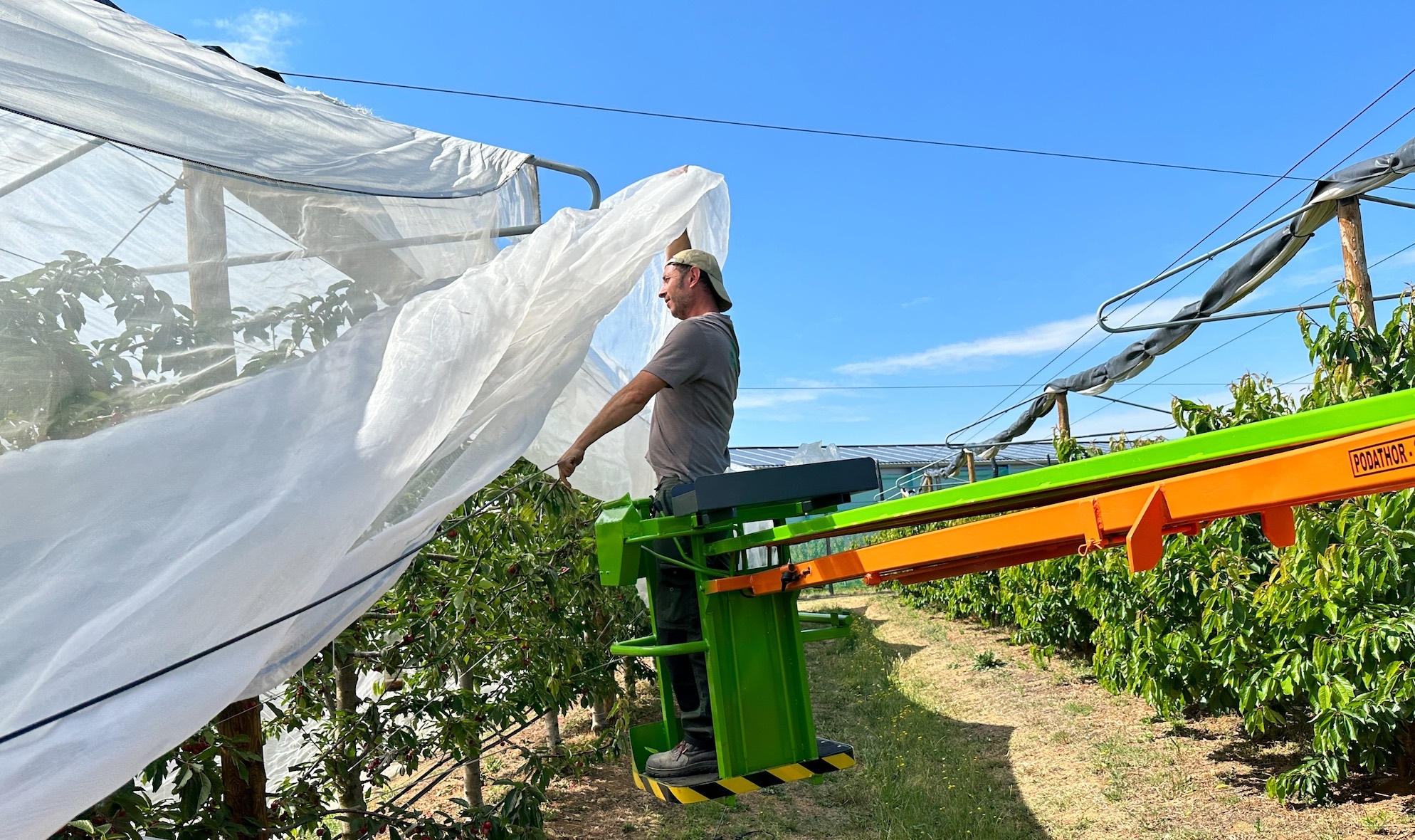 Les filets de protection contre les insectes bénéficient d’un taux d’aide de 40% (Crédit photo : R. Lecocq)