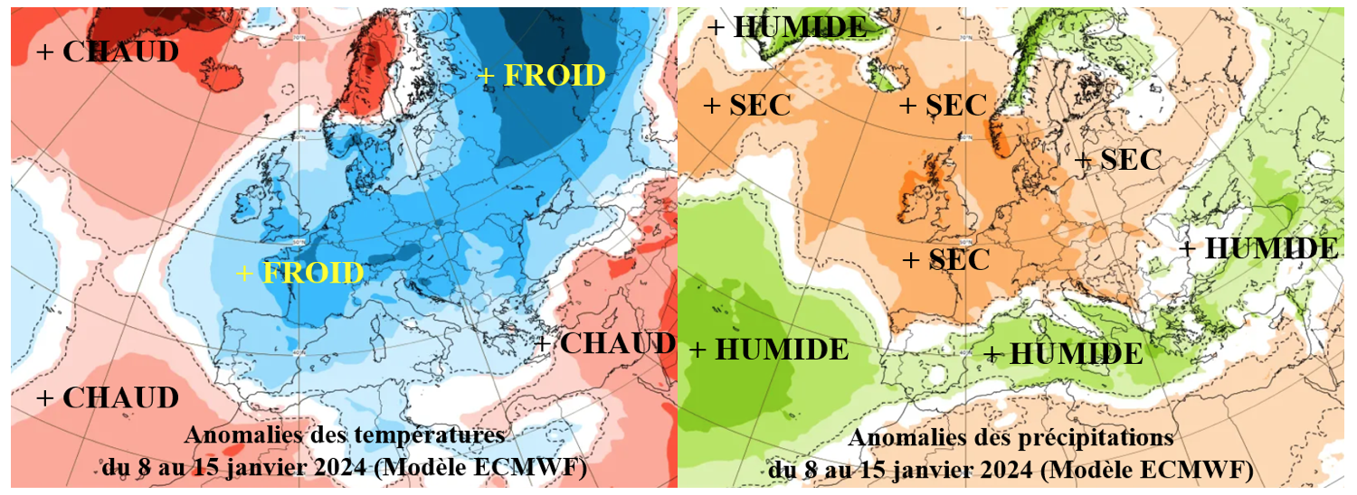 Anomalies de températures et de précipitations du 8 au 15 janvier 2024 (Source : ECMWF)