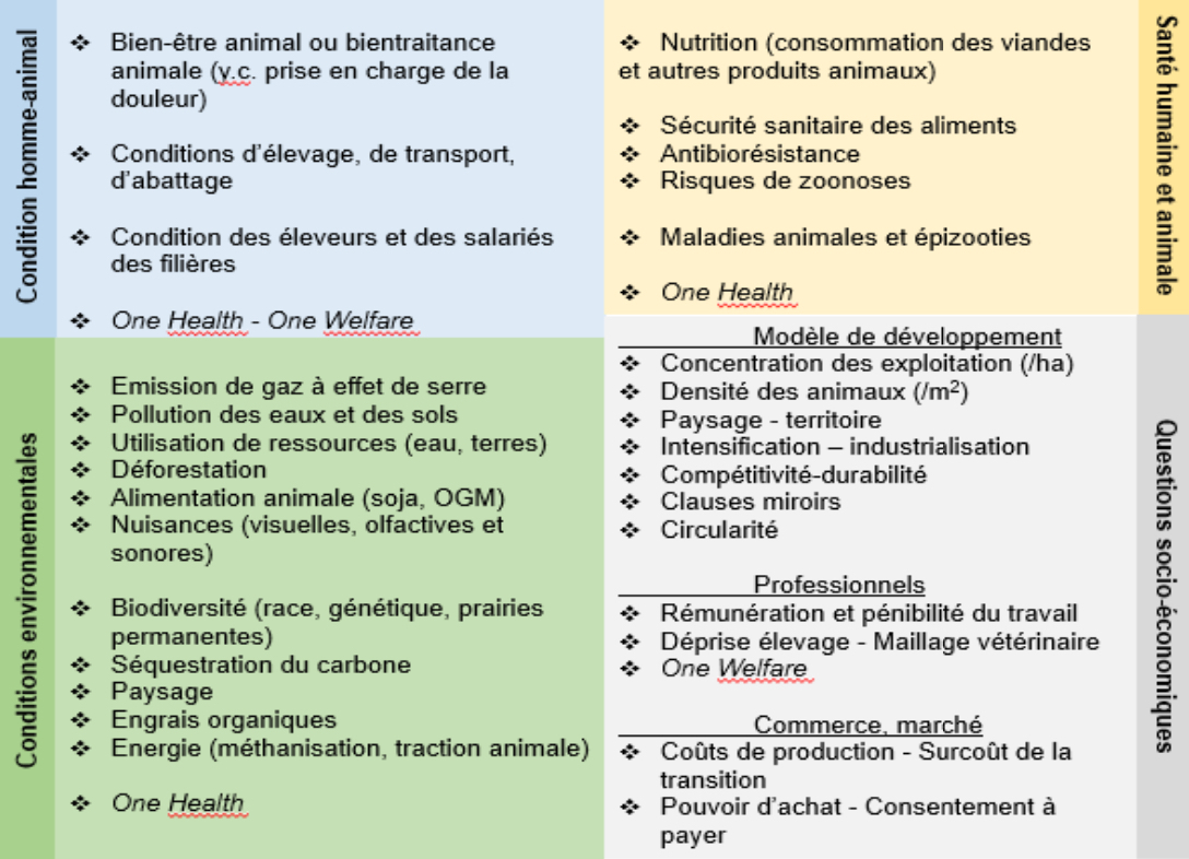 Les quatre registres de la controverse et leurs sous-registres (Source : CGAAER)