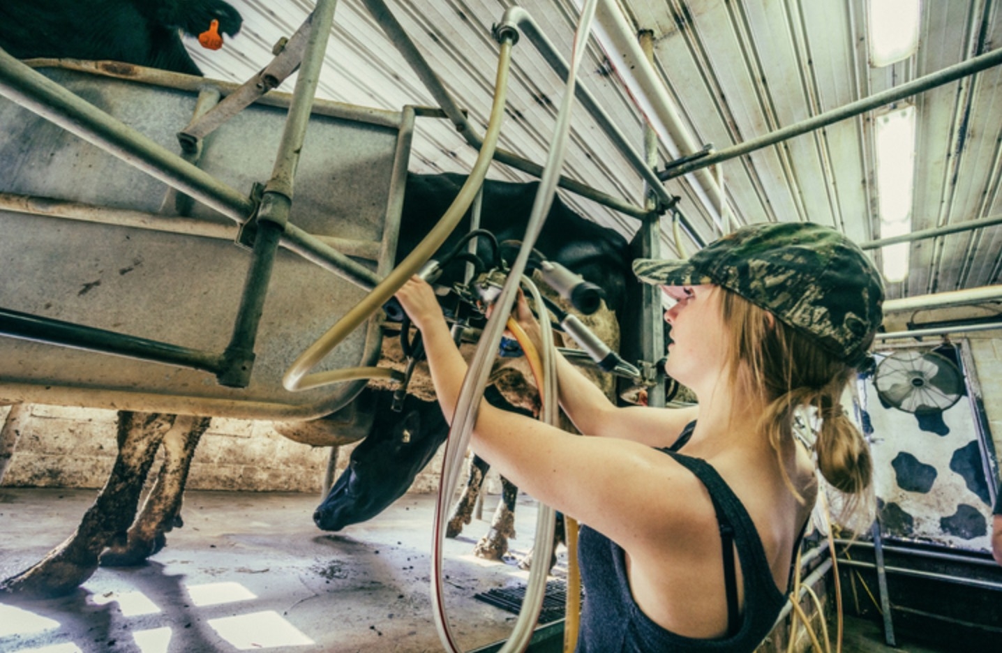 L’avenir de l’élevage passe sans aucun doute par une meilleure attractivité auprès des jeunes femmes. L’amélioration de leurs conditions de travail sera déterminante