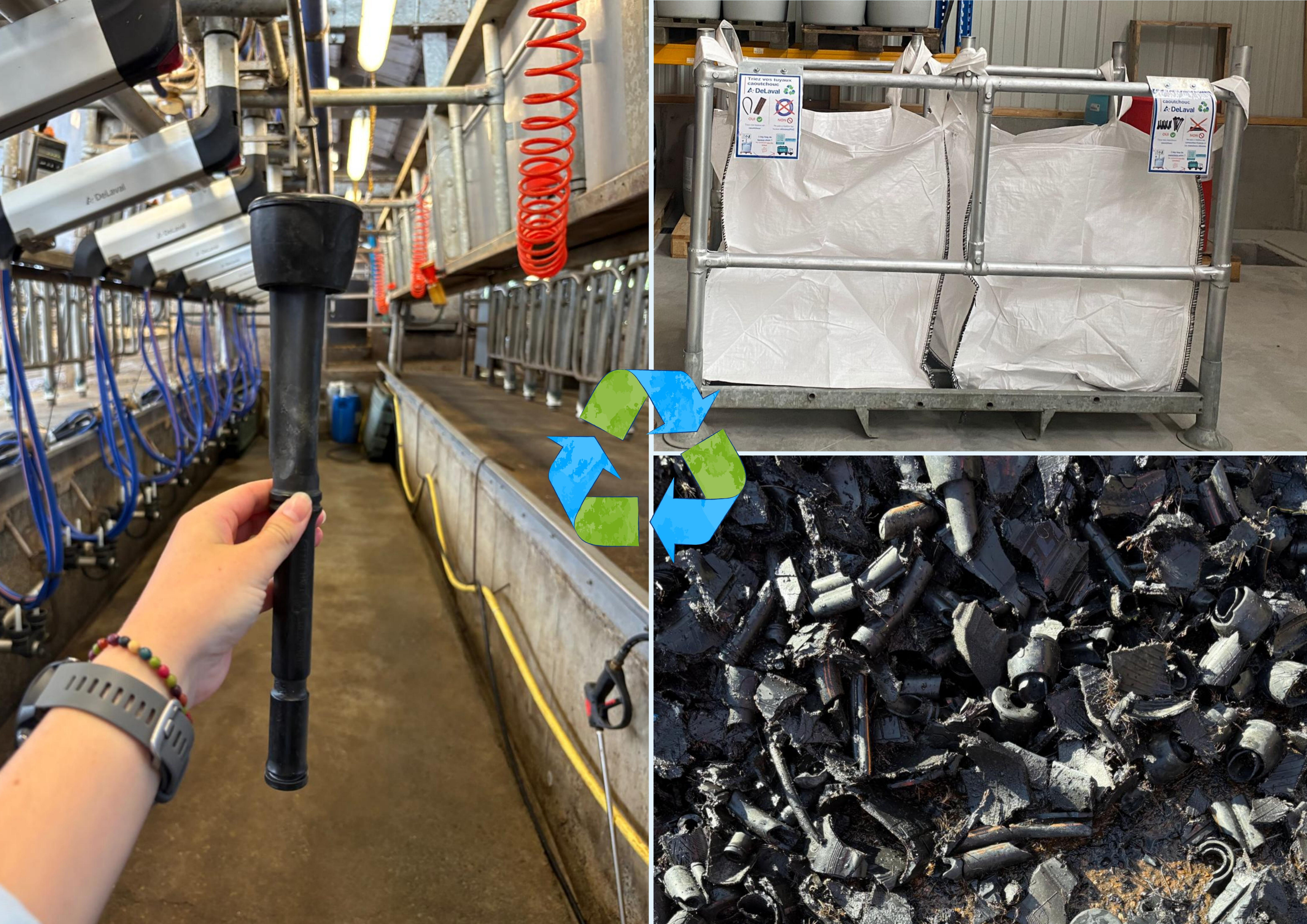 ©Marie Le Luel – DeLaval