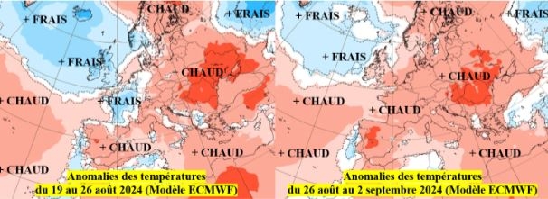 ECMWF