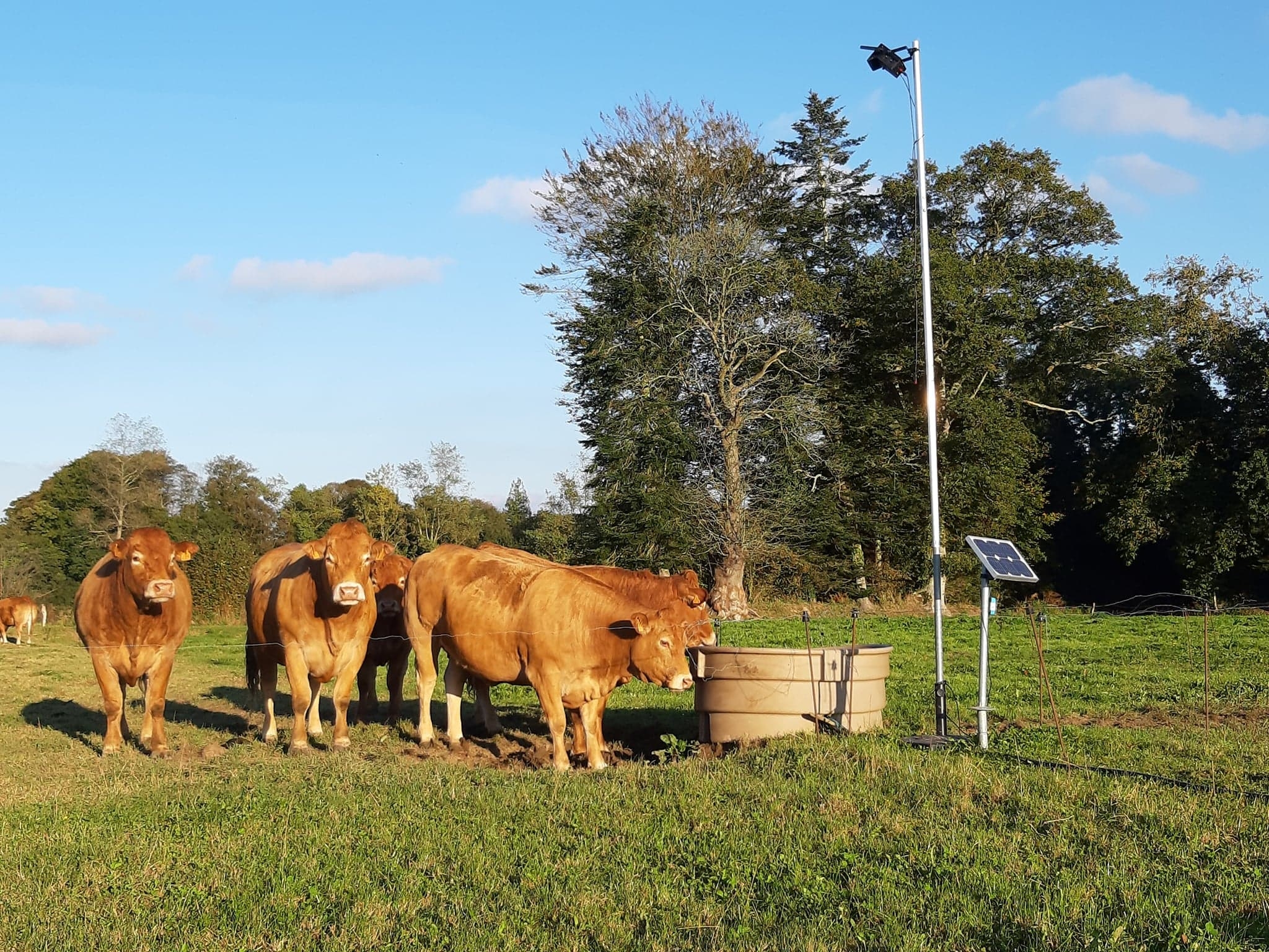 Autonome en énergie, Peek’Ture capte non seulement des photos et vidéos d’animaux mais délivre aussi à distance des indicateurs relatifs aux conditions de vie des animaux (Crédit photo : Copeek’s)