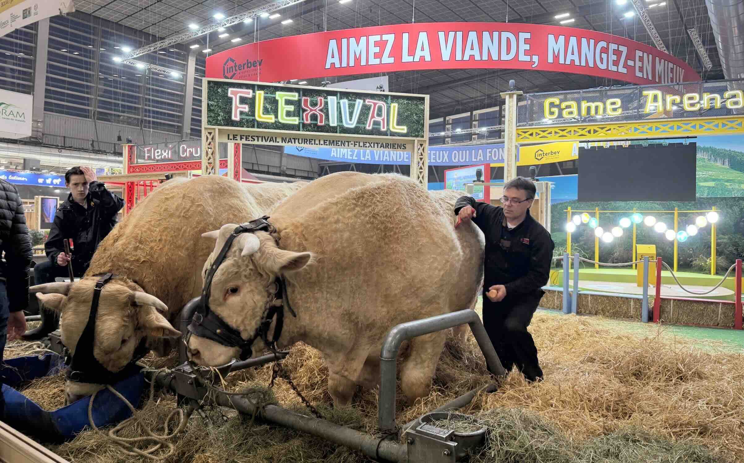 « Aimez la viande, mangez-en mieux » : tel, est depuis 2019, le message porté par Interbev, l’interprofession du bétail est des viandes, et consistant à manger la juste quantité d’une viande de qualité (Crédit photo : R. Lecocq)