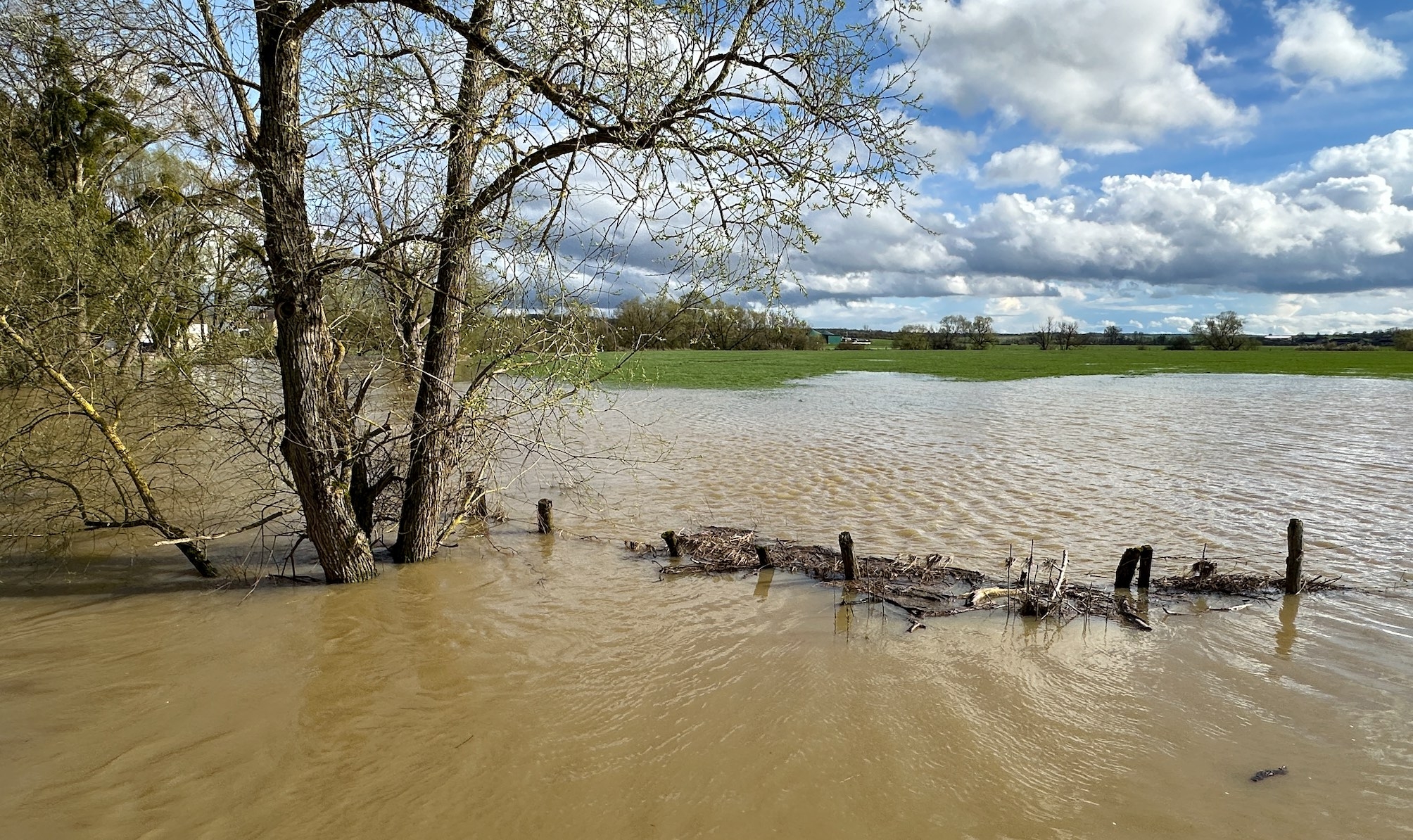 Les prairies inondables... et inondées. A l’arrière-plan, le méthaniseur de la Sarl G3 Environnement