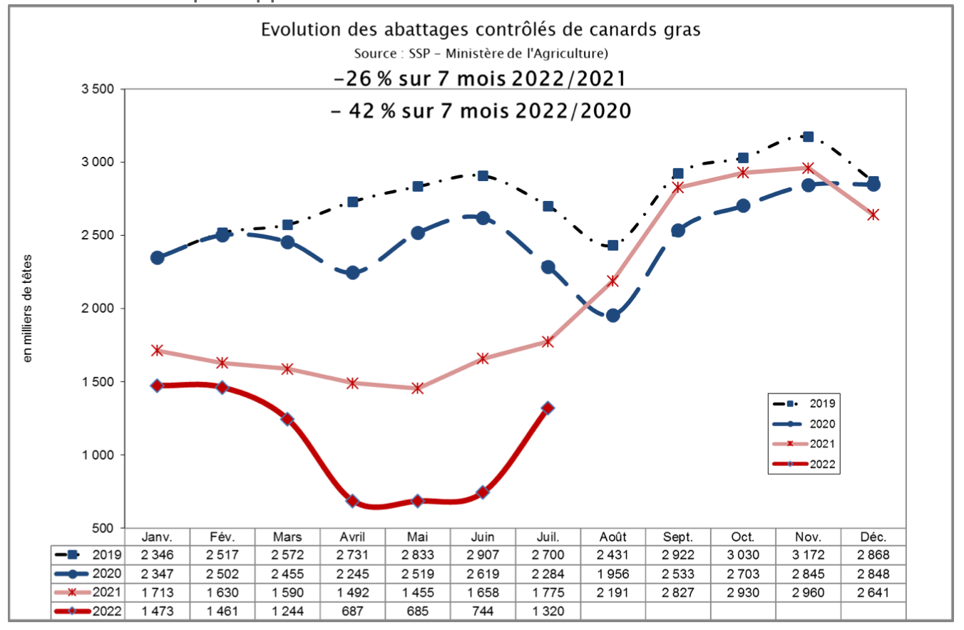 Evolution des abattages contrôlés de canards gras (Source Cifog)