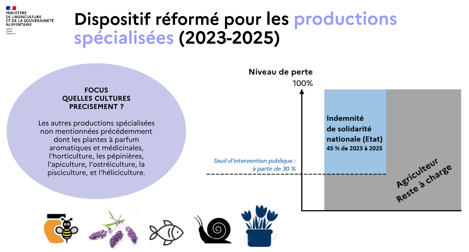 Le dispositif applicable aux productions spécialisées (Source : ministère de l’Agriculture)