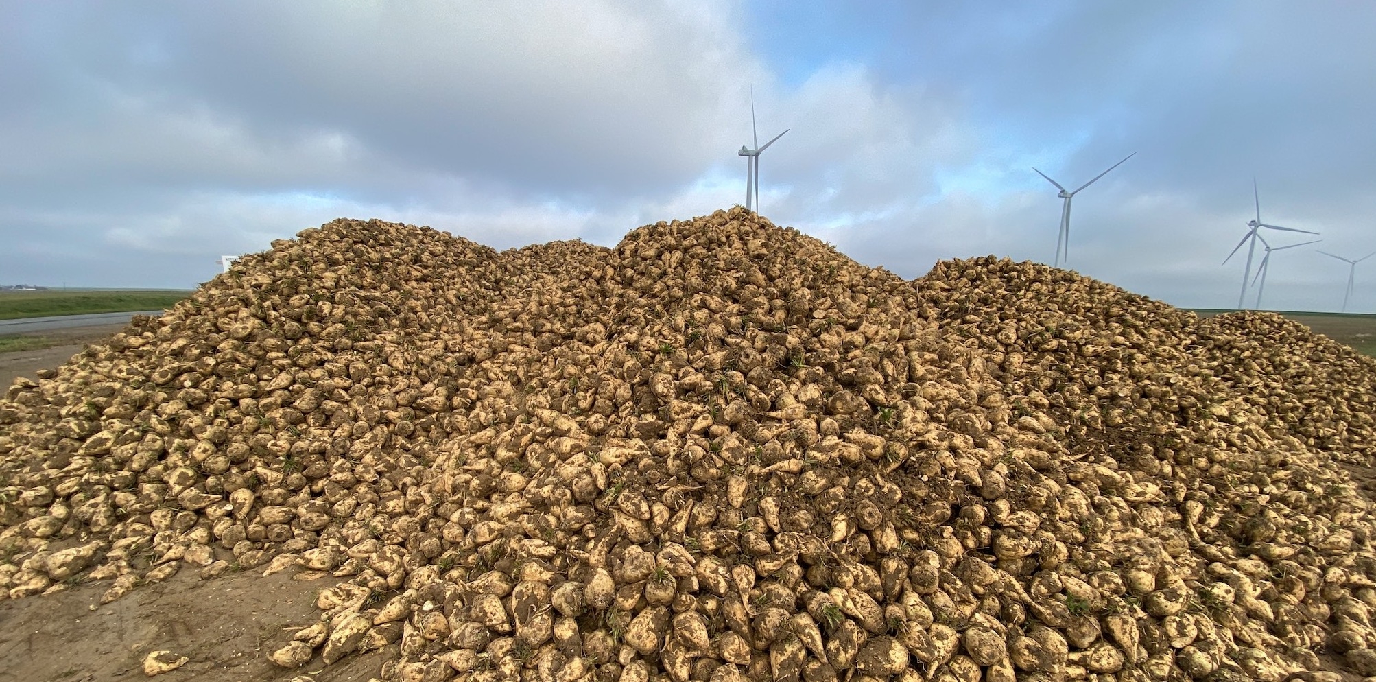 « Faites la part qui est la vôtre de pouvoir assumer la souveraineté de la France et la puissance de la France en terme de production de betterave et de sucre » exhorte le ministre de l’Agriculture Marc Fesneau, à quelques semaines des premiers chantiers de semis (Crédit photo : R. Lecocq)