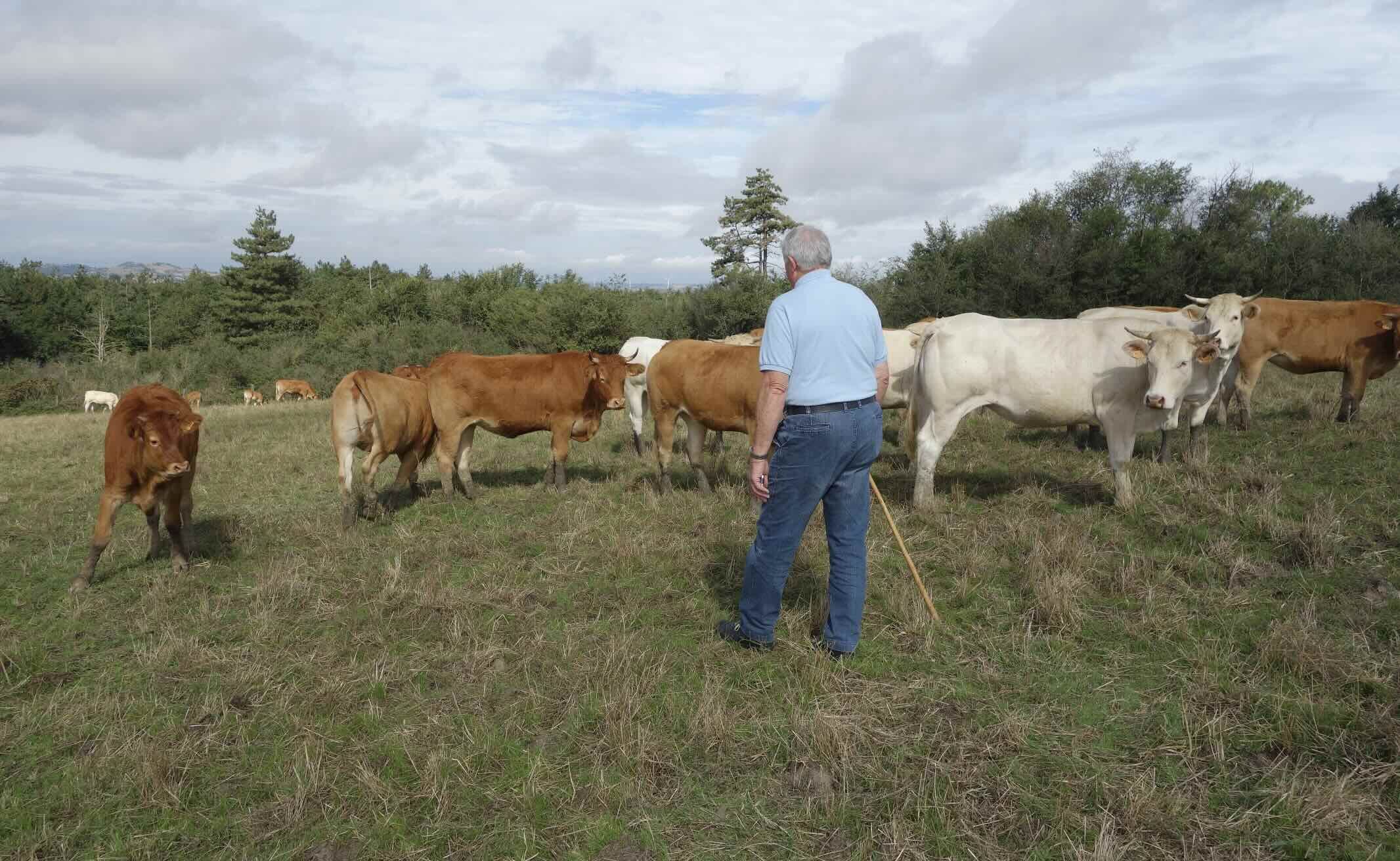 Les assurés au régime agricole présentent un sur-risque de suicide mais une sous-représentation en ce qui concerne les tentatives de suicide (Crédit photo : R. Lecocq)