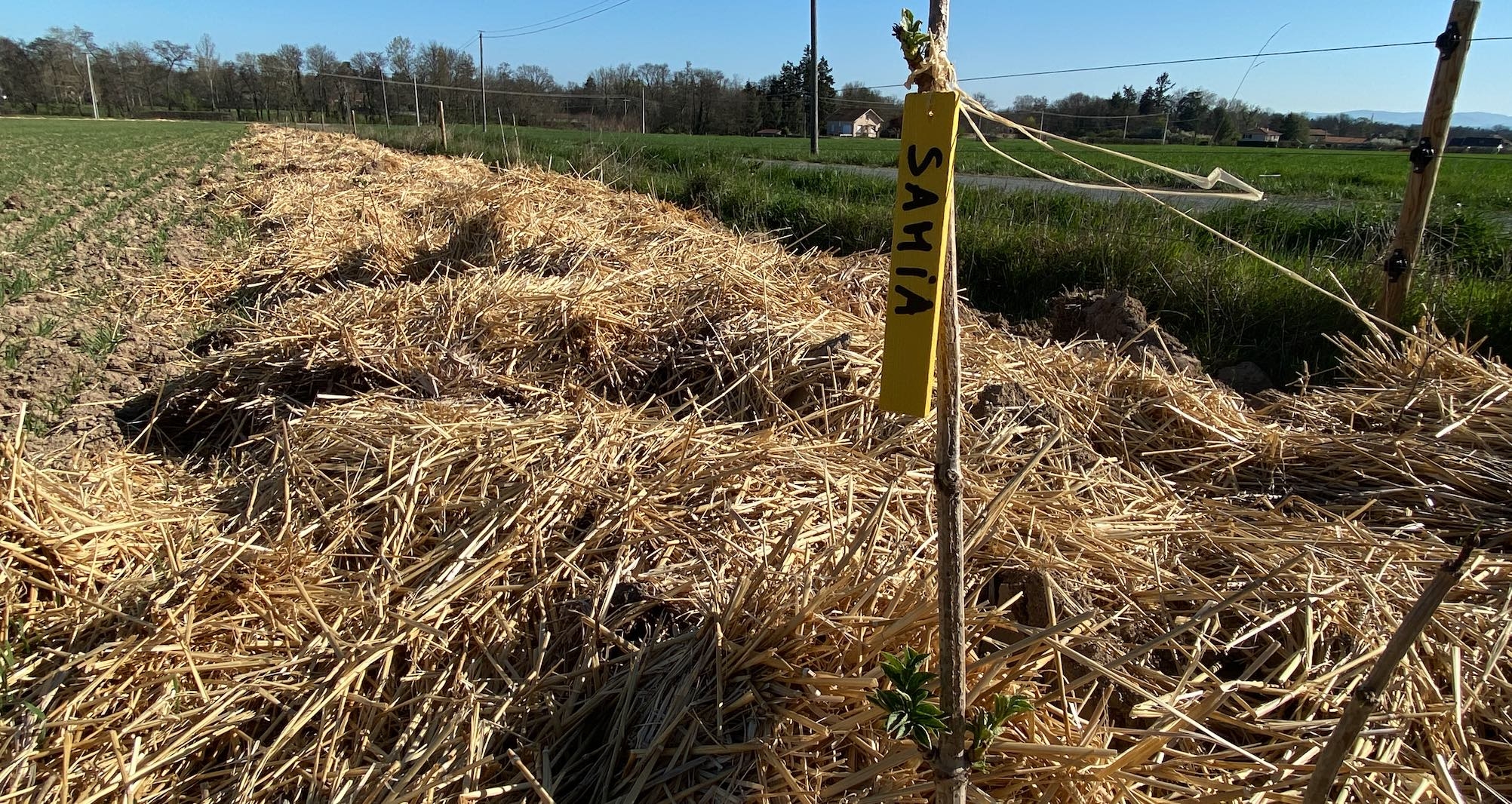 L’éleveur va poursuivre la plantation de haies, en invitant écoliers à participer au chantier, histoire de recréer du lien