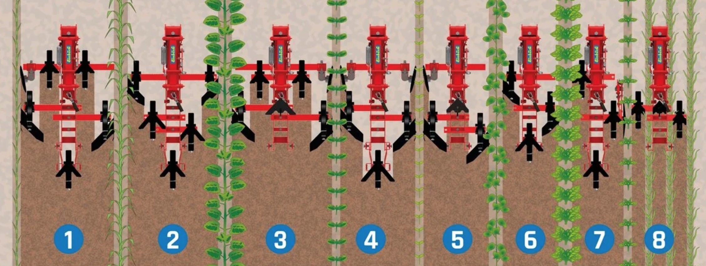 Les combinaisons offertes par la bineuse Chopstar-Verso (Source : Einböck)