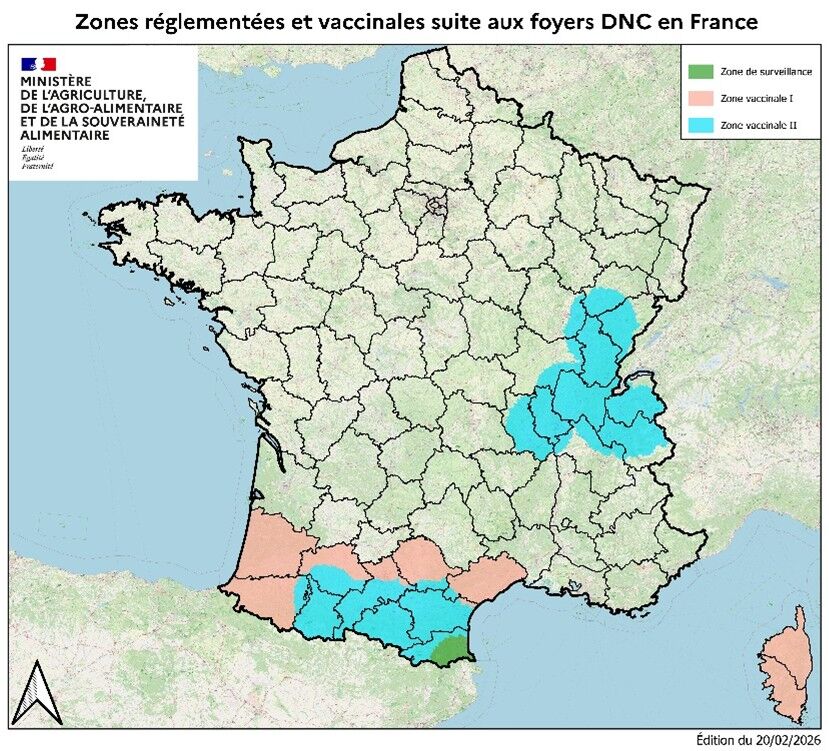 Zones réglementées et vaccinales en date du 20 février 2026 (Source : ministère de l’Agriculture)