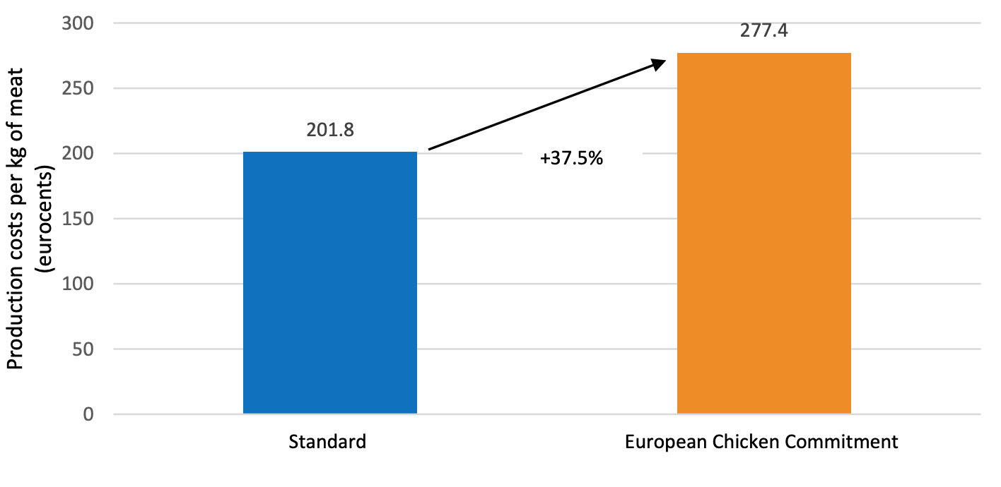Coût de production comparé du poulet standard et du poulet ECC par kilo de viande (Source : AVEC – ADAS)