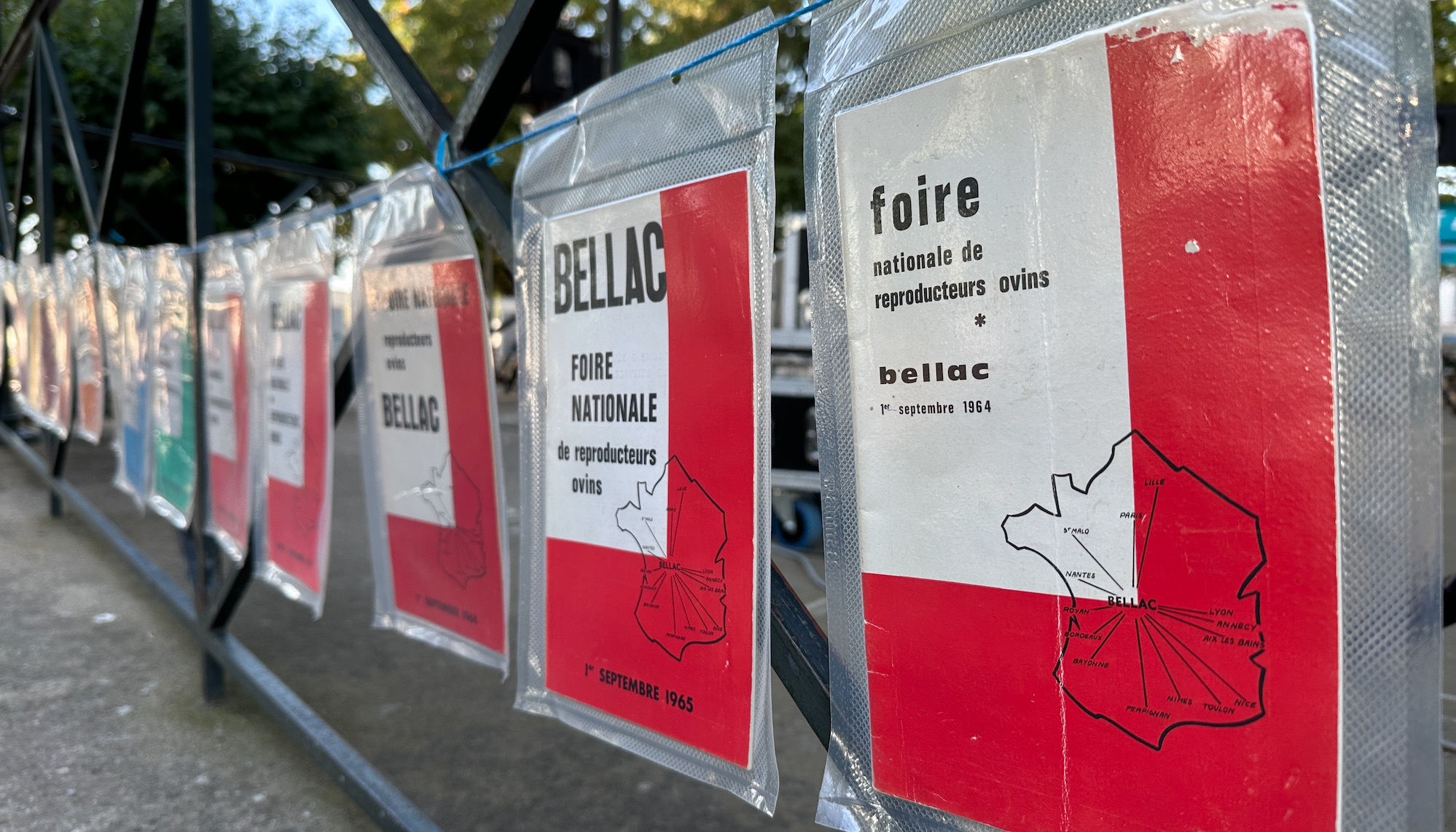 La Foire nationale de reproducteurs ovins de Bellac (Haute-Vienne) fêtait cette année ses 60 ans (Crédit photo : R. Lecocq)