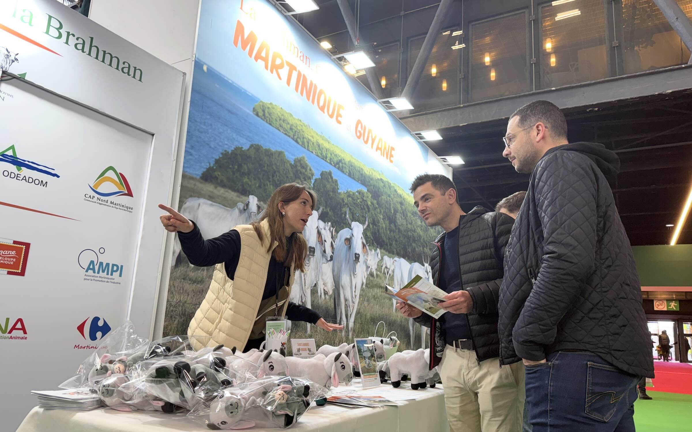 La Brahman Biguine, réduite à l’état d’hologramme, de peluche, d’effigie sur mug en encore de boîte à « meuh »