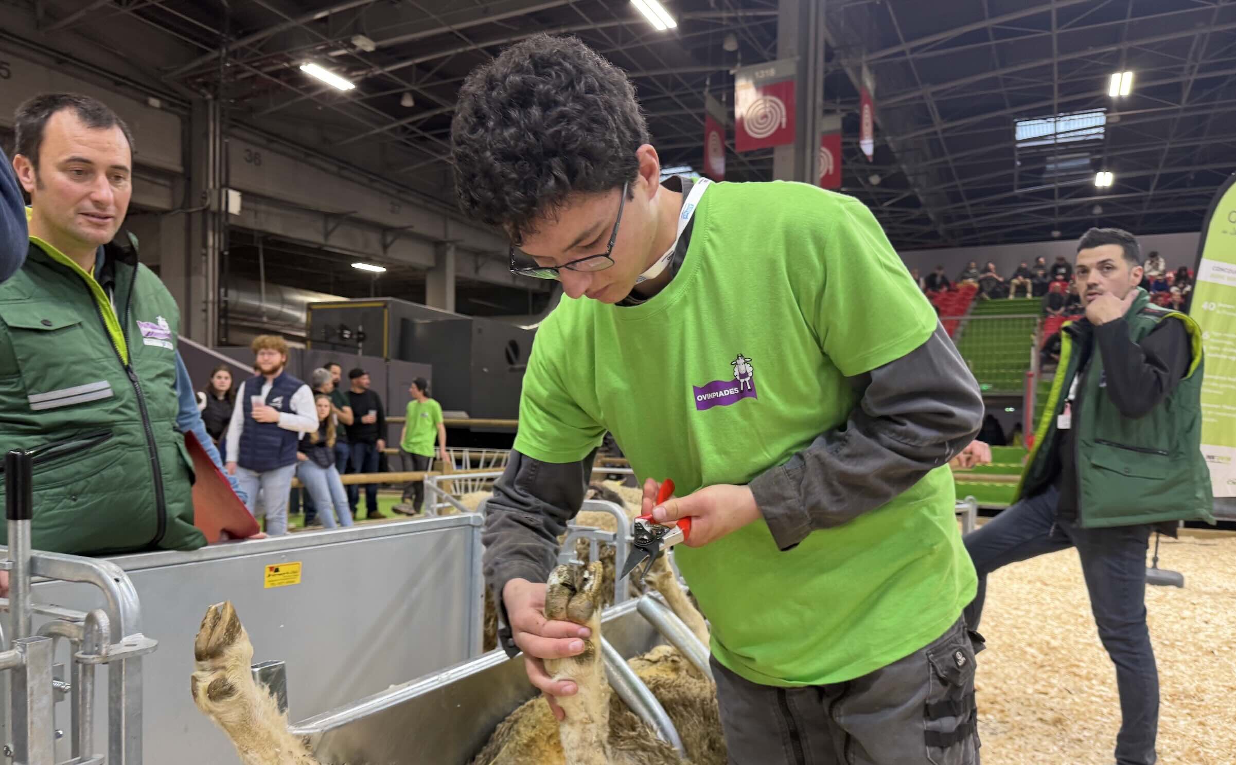 Et le meilleur Jeune berger de France 2025, ici au parage, est Anthony Rispal, élève au Centre de formation d’apprentis agricoles du Lot