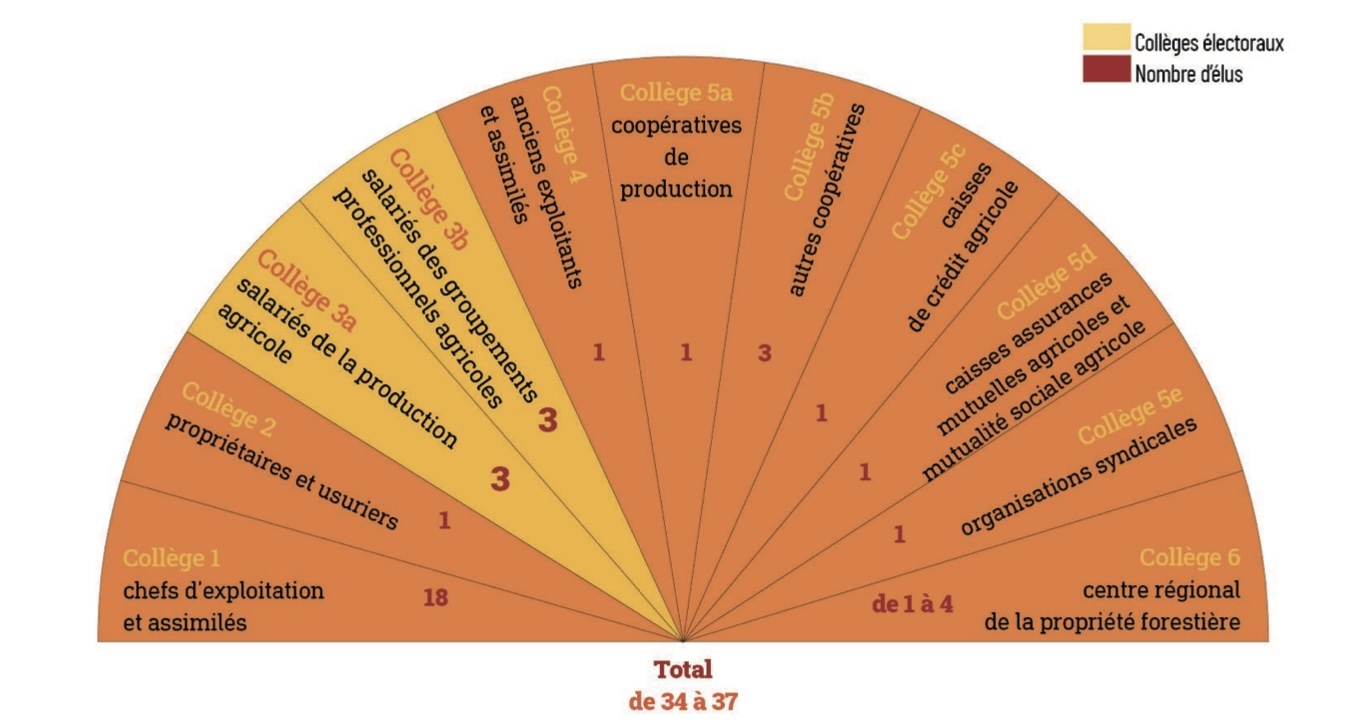 Répartition des différents collèges électoraux composant la session d’une Chambre d’agriculture départemental et territoriale (Source : Chambres d’agriculture France)