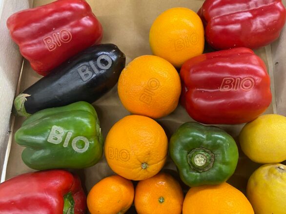 Reliquats d’aides bio : la FNAB en appelle à la FNSEA