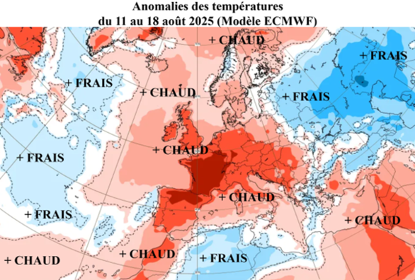 Canicule : jusqu’à quand ? Quelles conséquences sur l’agriculture ? La chronique de Nicolas Le Friant, expert météo
