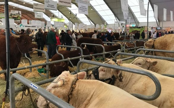 Salon 27eme Salon Europeen Des Jouets Et Miniatures Agricoles A Chartres Pleinchamp